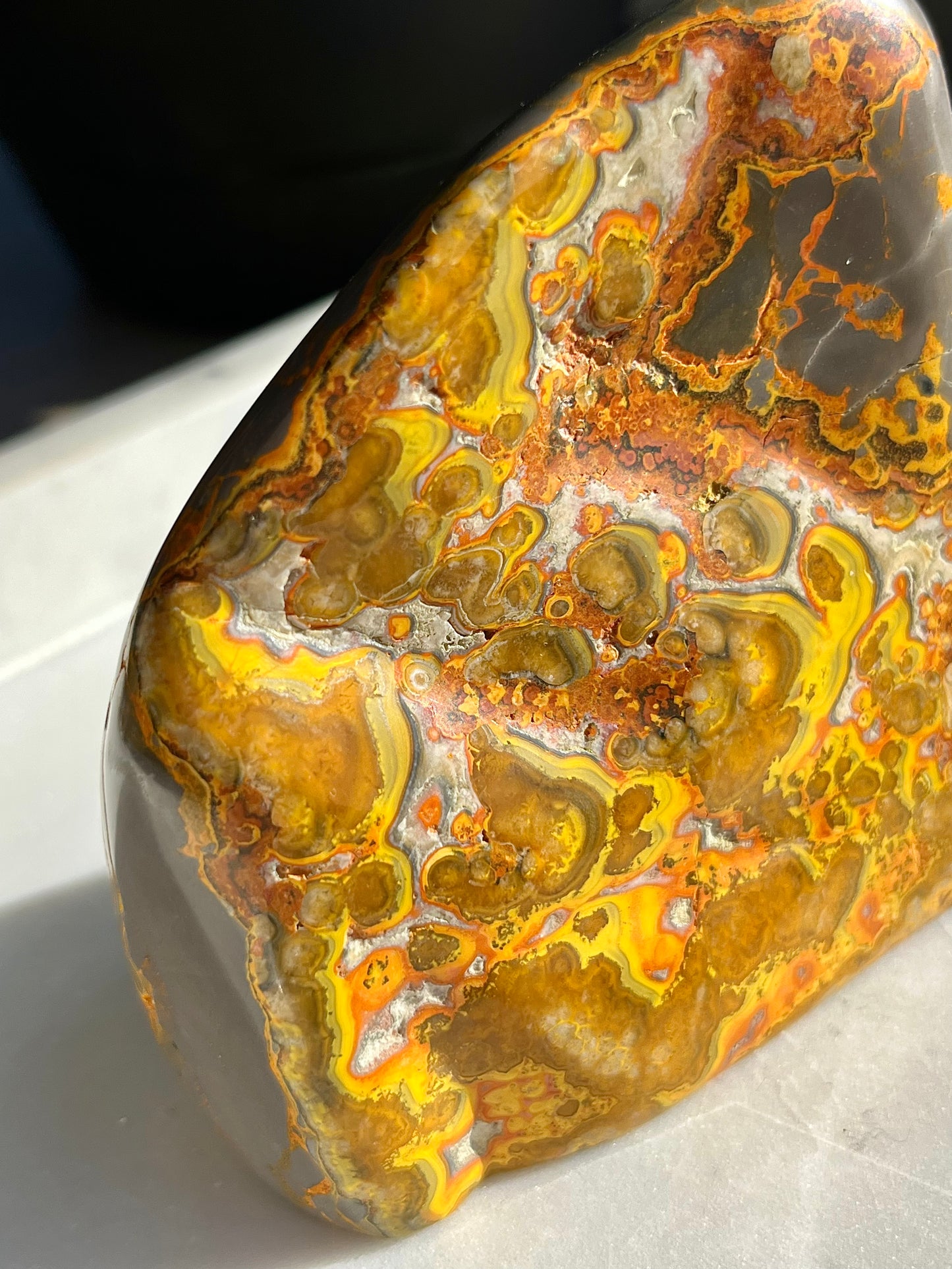 Rare Orbicular Bumblebee Jasper Polished Freeform #4