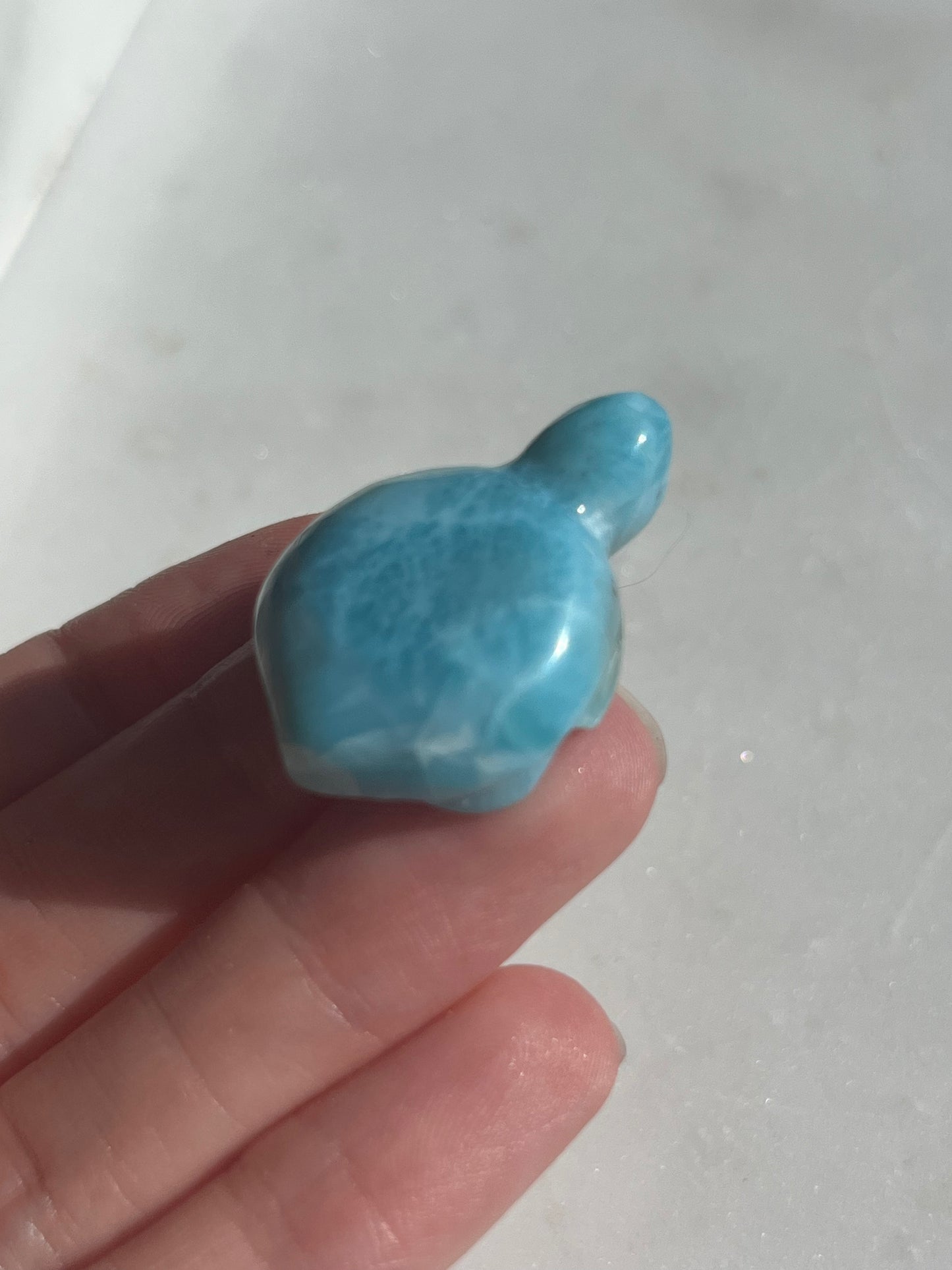 A Grade Larimar Turtle Carving #3