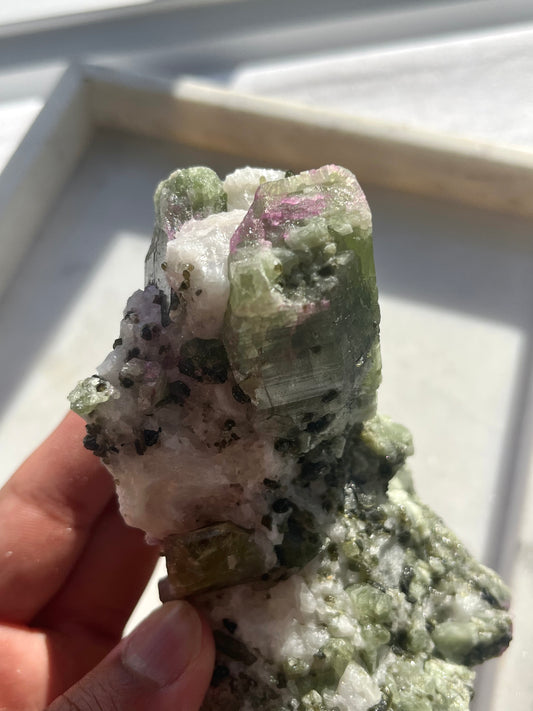 透辉石样本,大理石基质上带有粉红色方钠石和白云母 #4