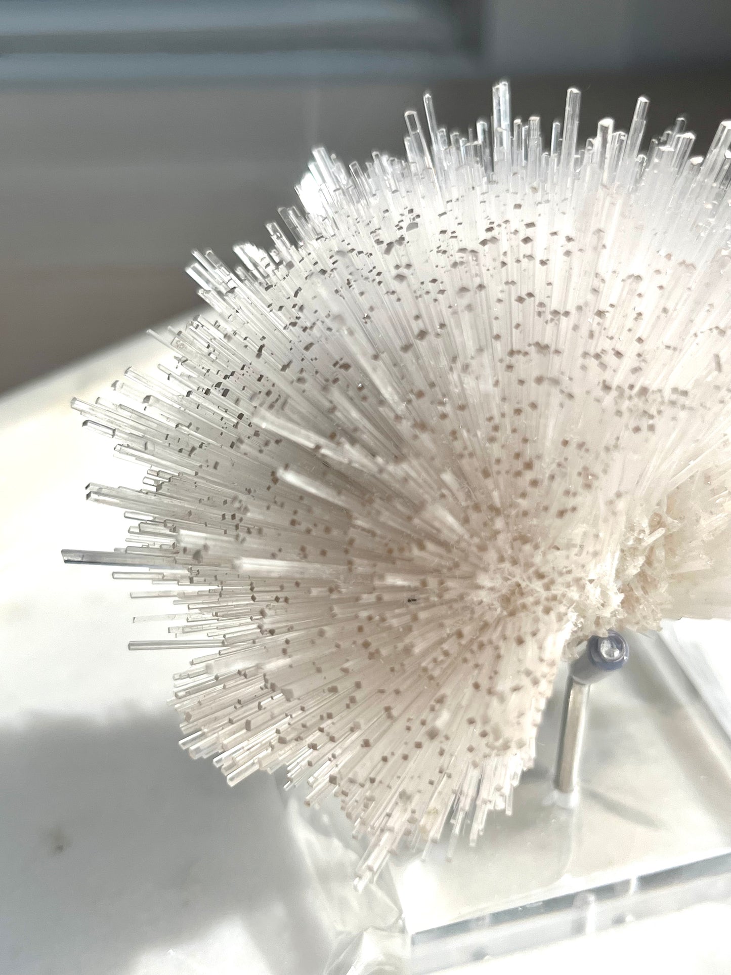 Espécimen de mesolita #4