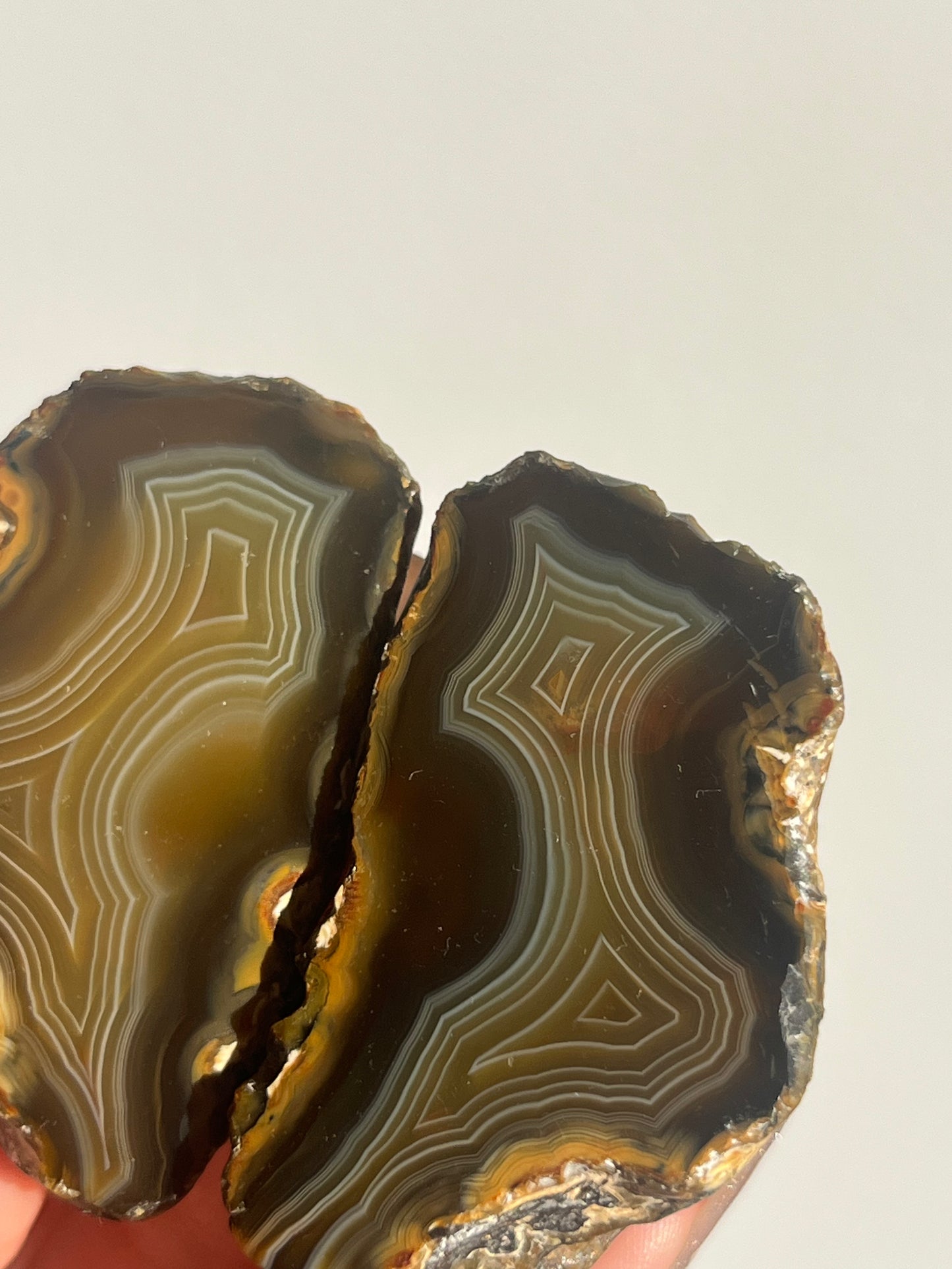 'Golden Labyrinth' West Indonesian Translucent Yellow-Brown Agate Pair E