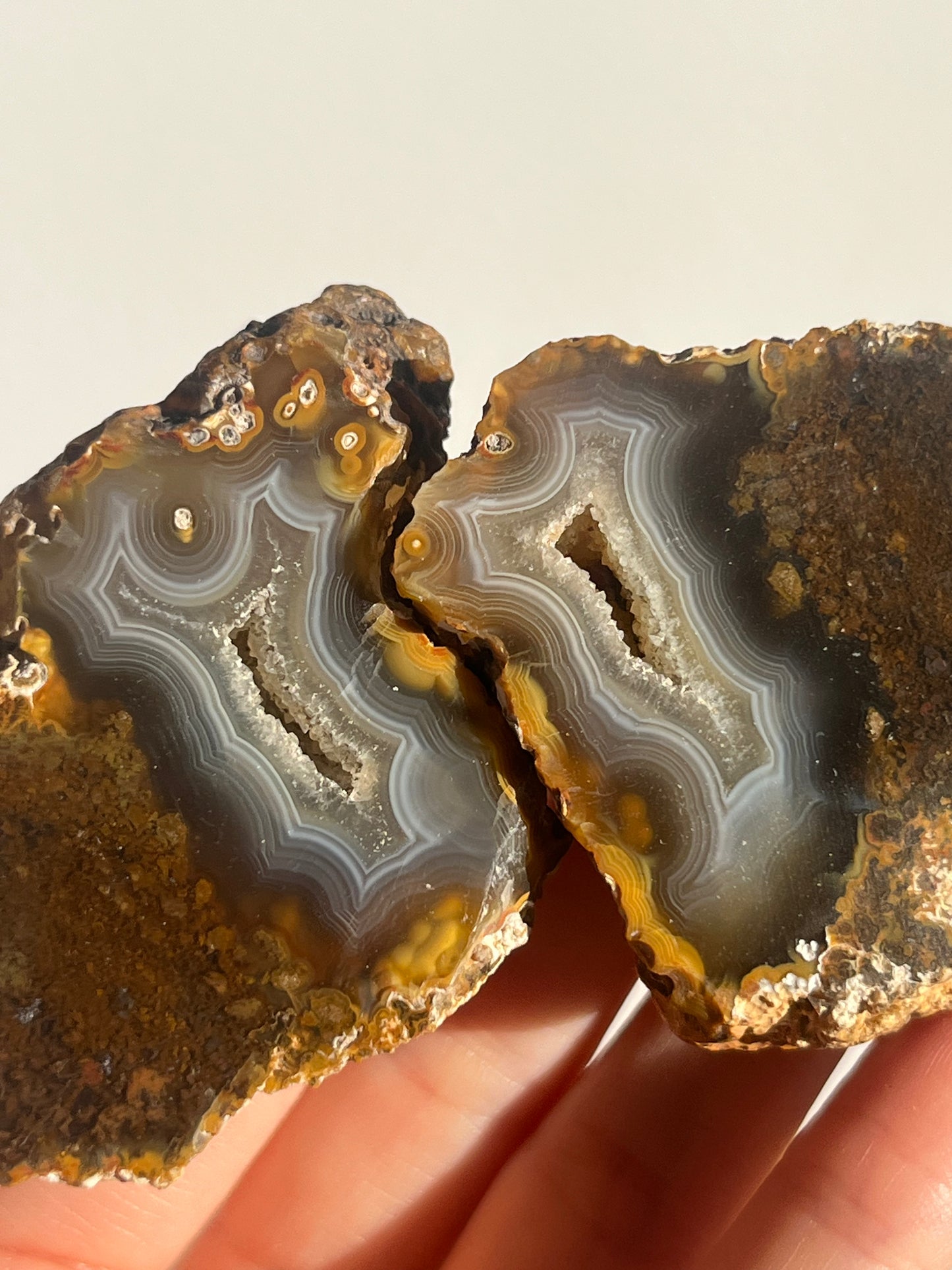 'Timber-Veil' West Indonesian River Agate Pair with Moss Inclusions H