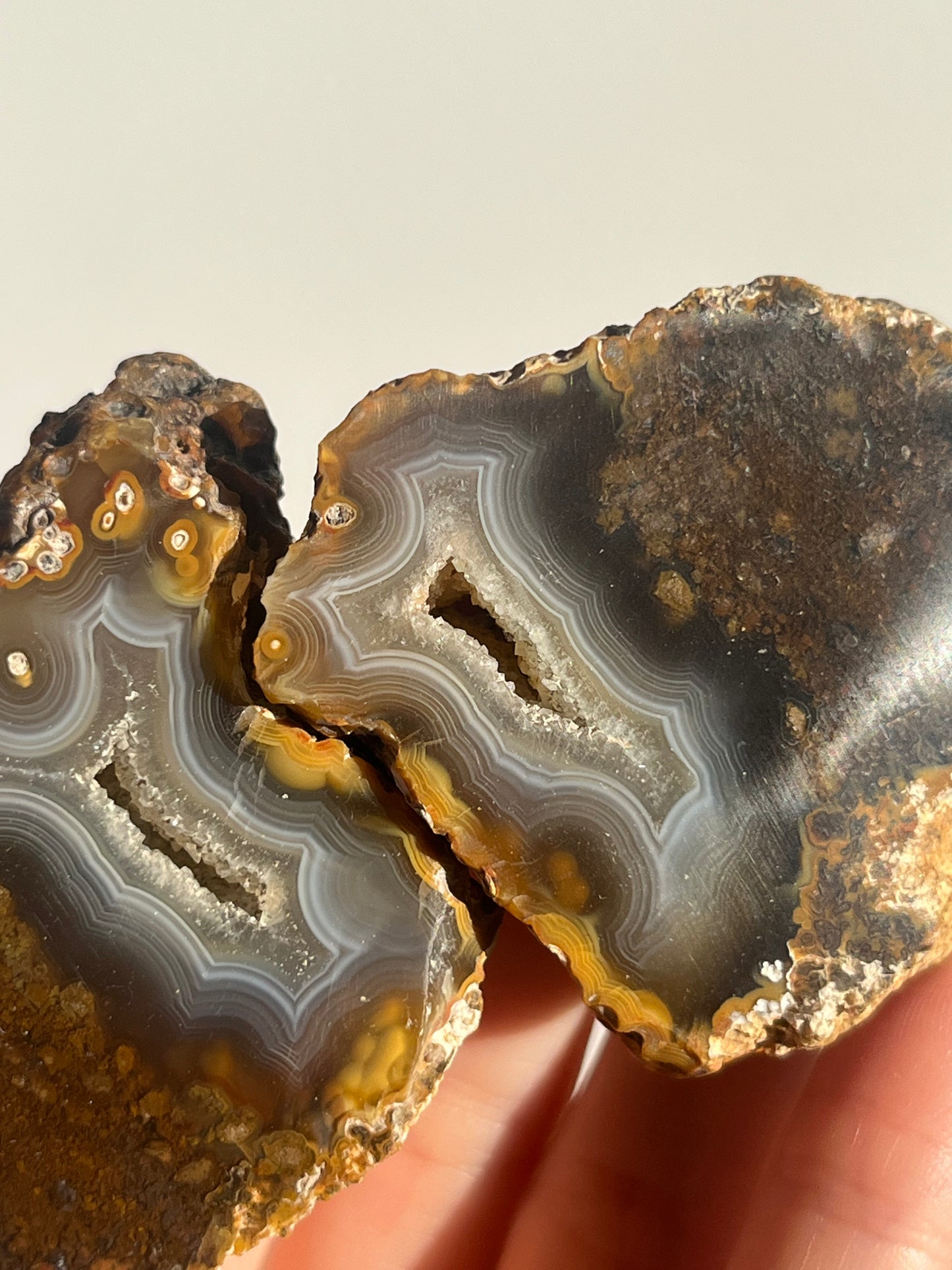 'Timber-Veil' West Indonesian River Agate Pair with Moss Inclusions H