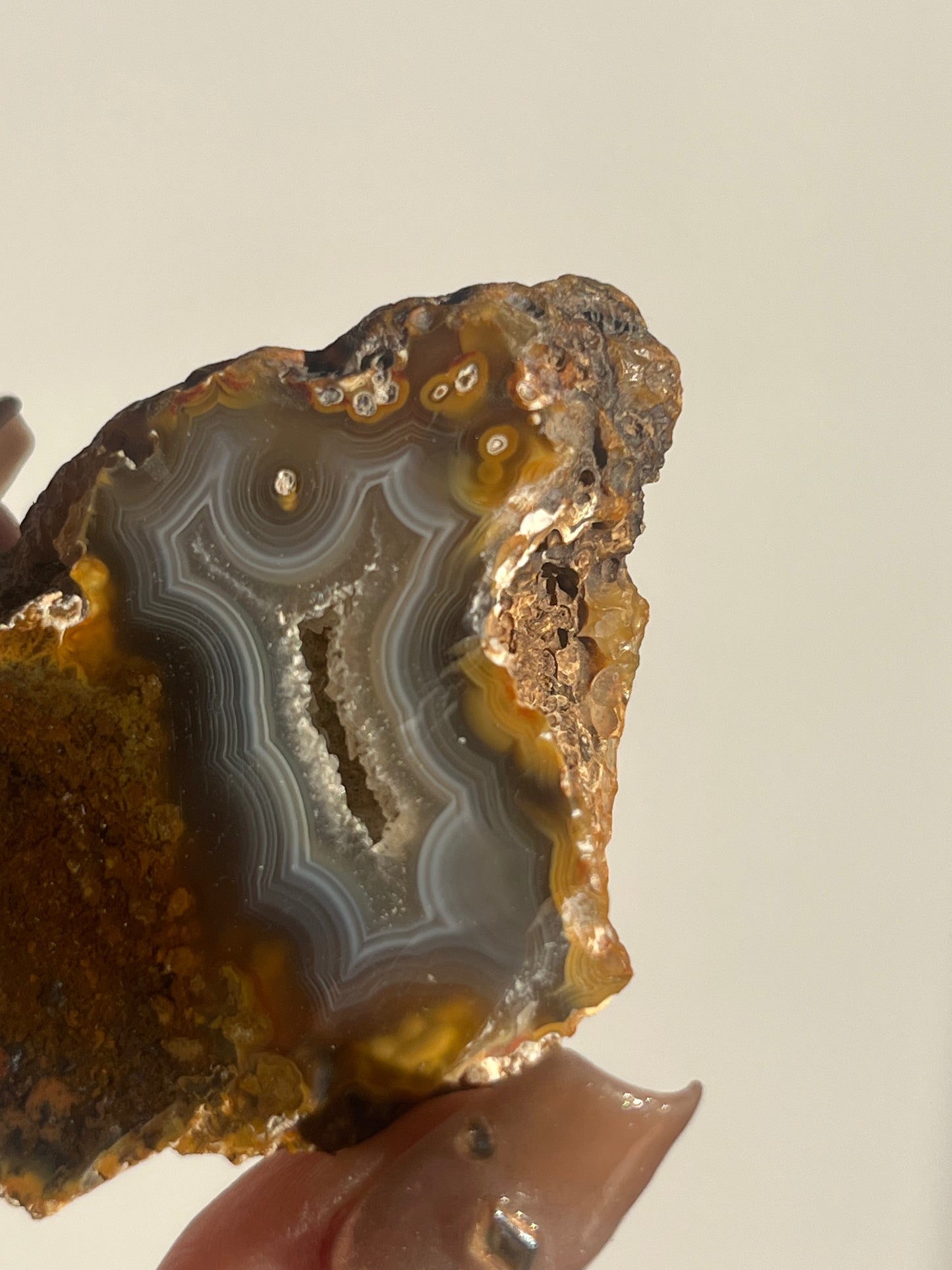 'Timber-Veil' West Indonesian River Agate Pair with Moss Inclusions H