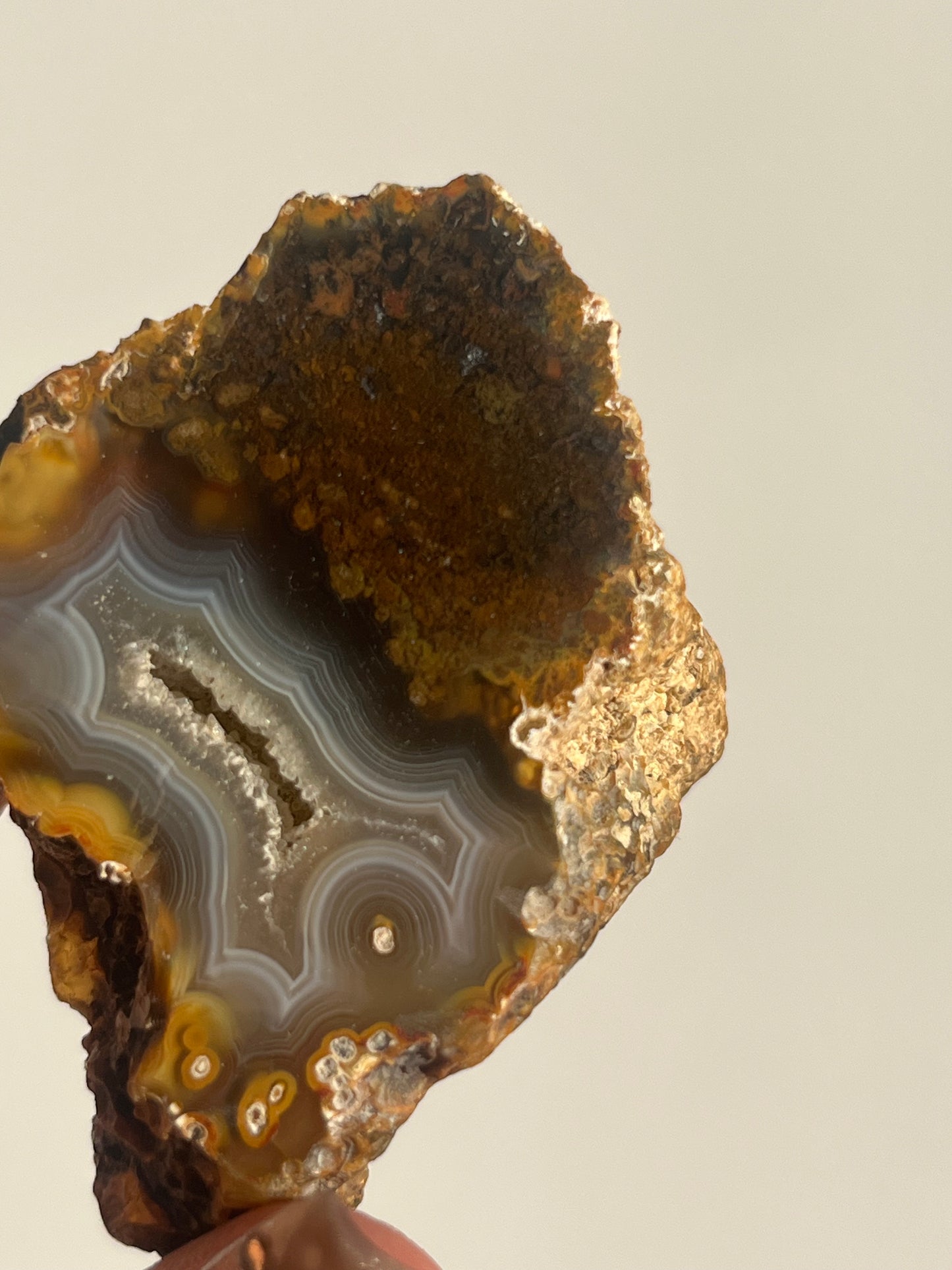 'Timber-Veil' West Indonesian River Agate Pair with Moss Inclusions H