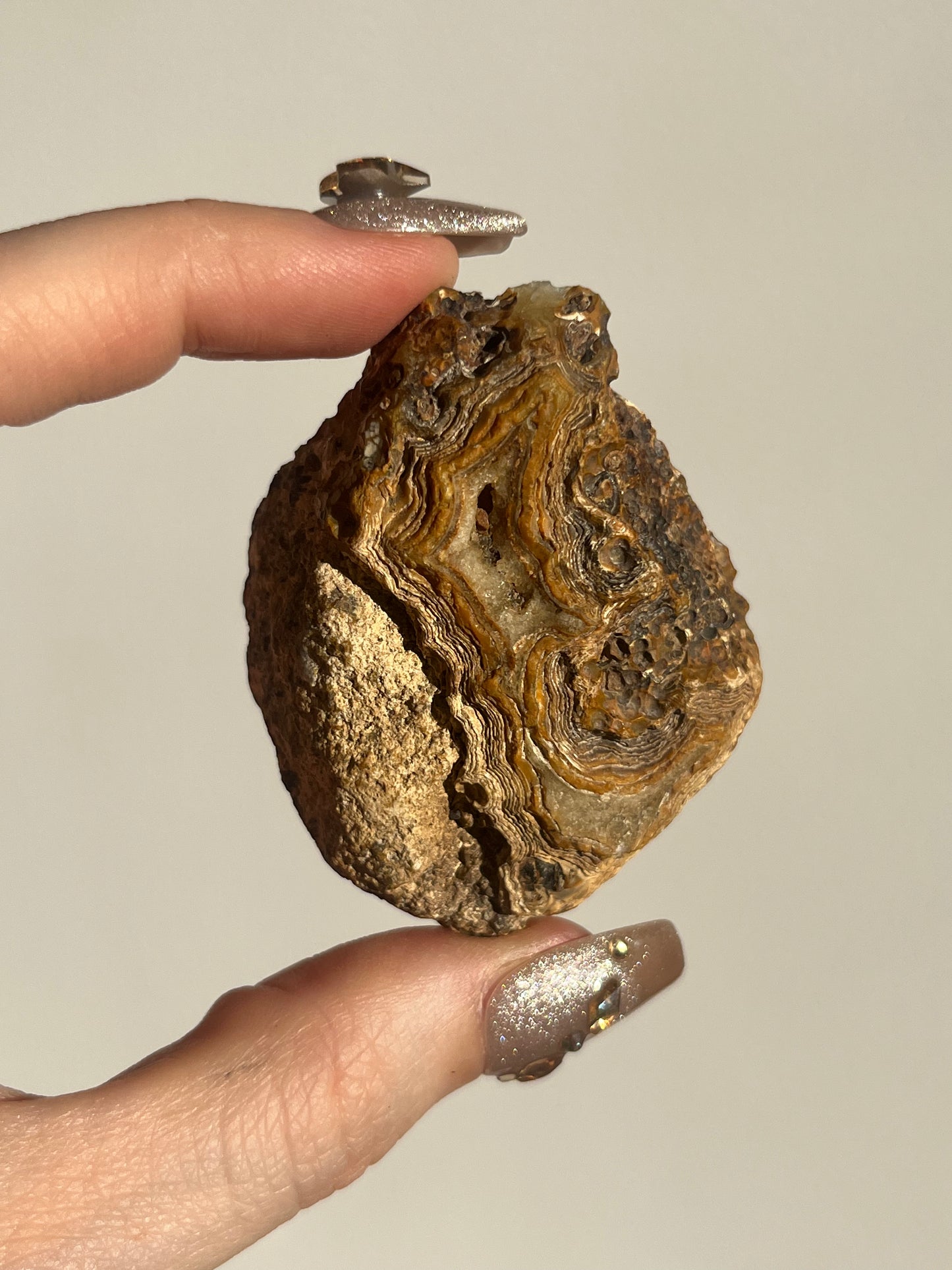 'Timber-Veil' West Indonesian River Agate Pair with Moss Inclusions H