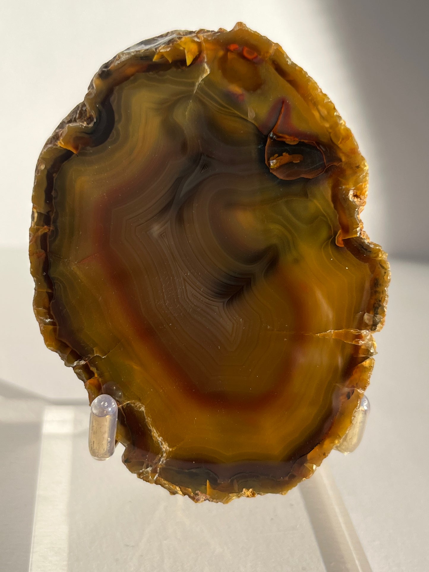 “The Last Ember” East Indonesian Agate Specimen C