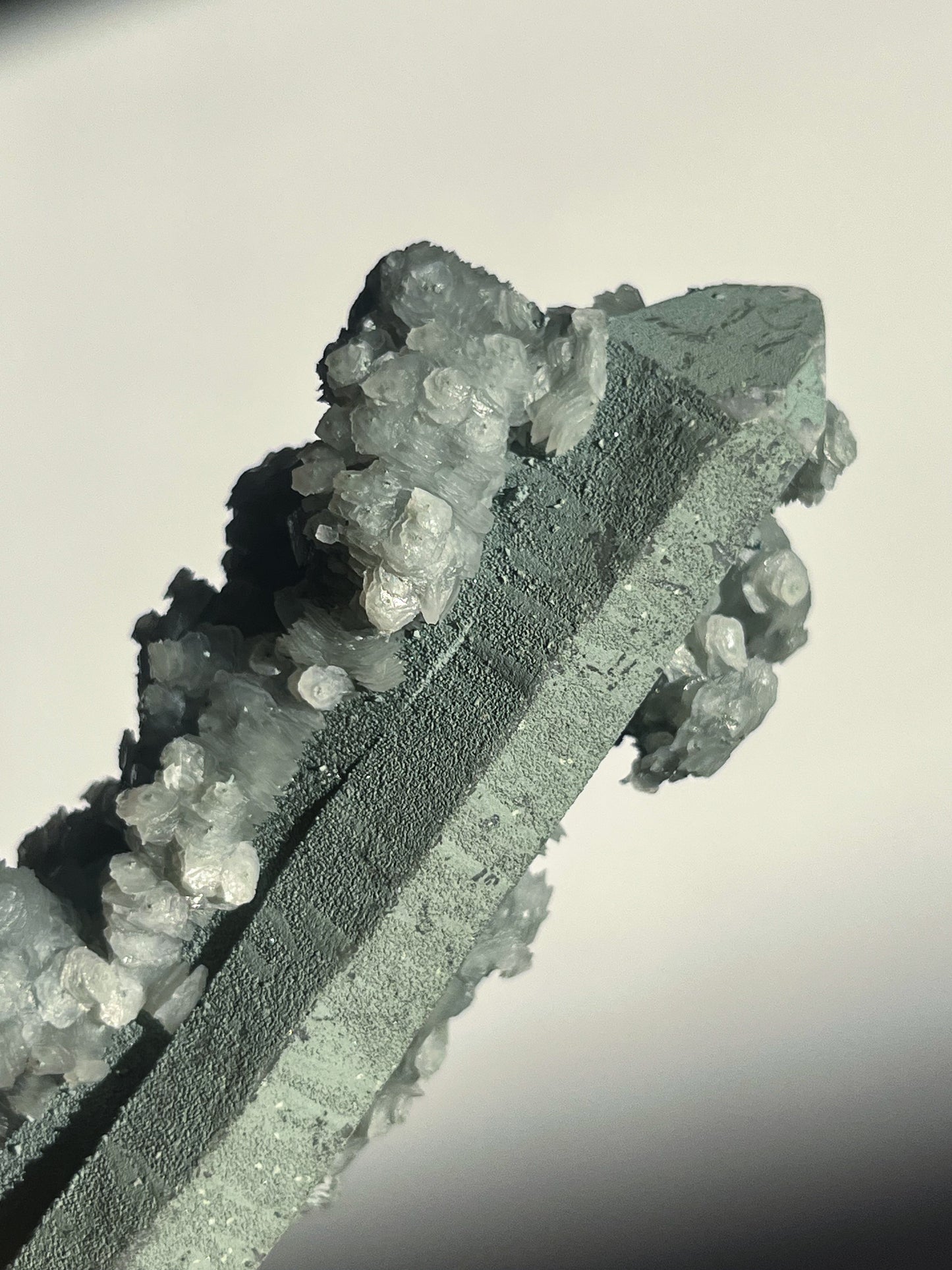 Euci Quartz with Coin Petal Calcite Specimen J