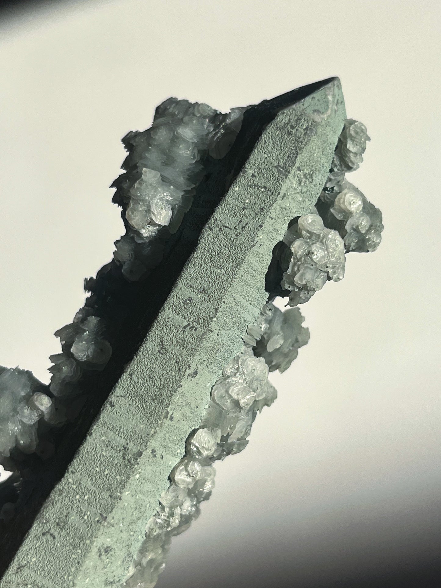 Euci Quartz with Coin Petal Calcite Specimen J