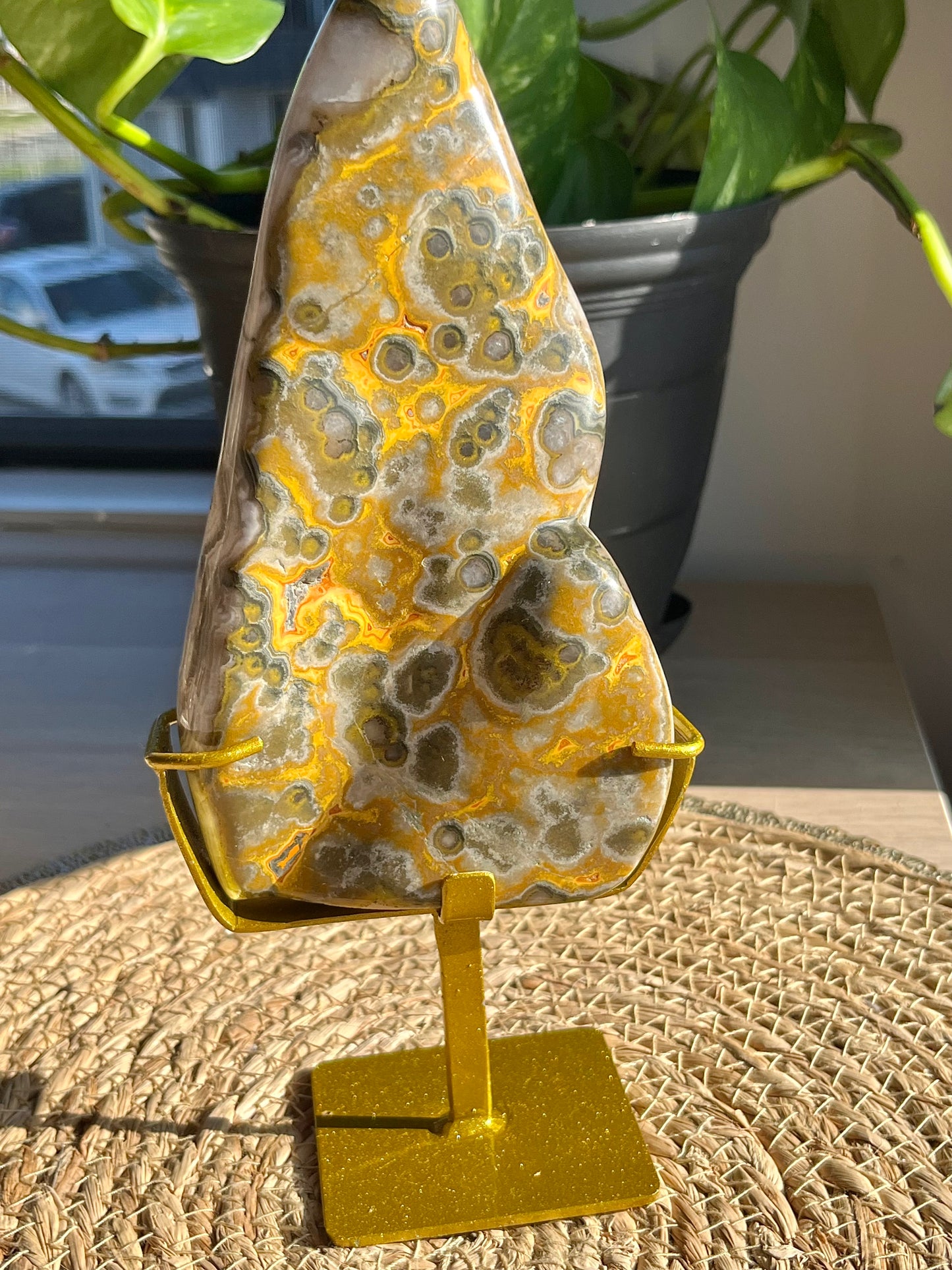7 号展位上罕见的圆形大黄蜂碧玉抛光自由形状