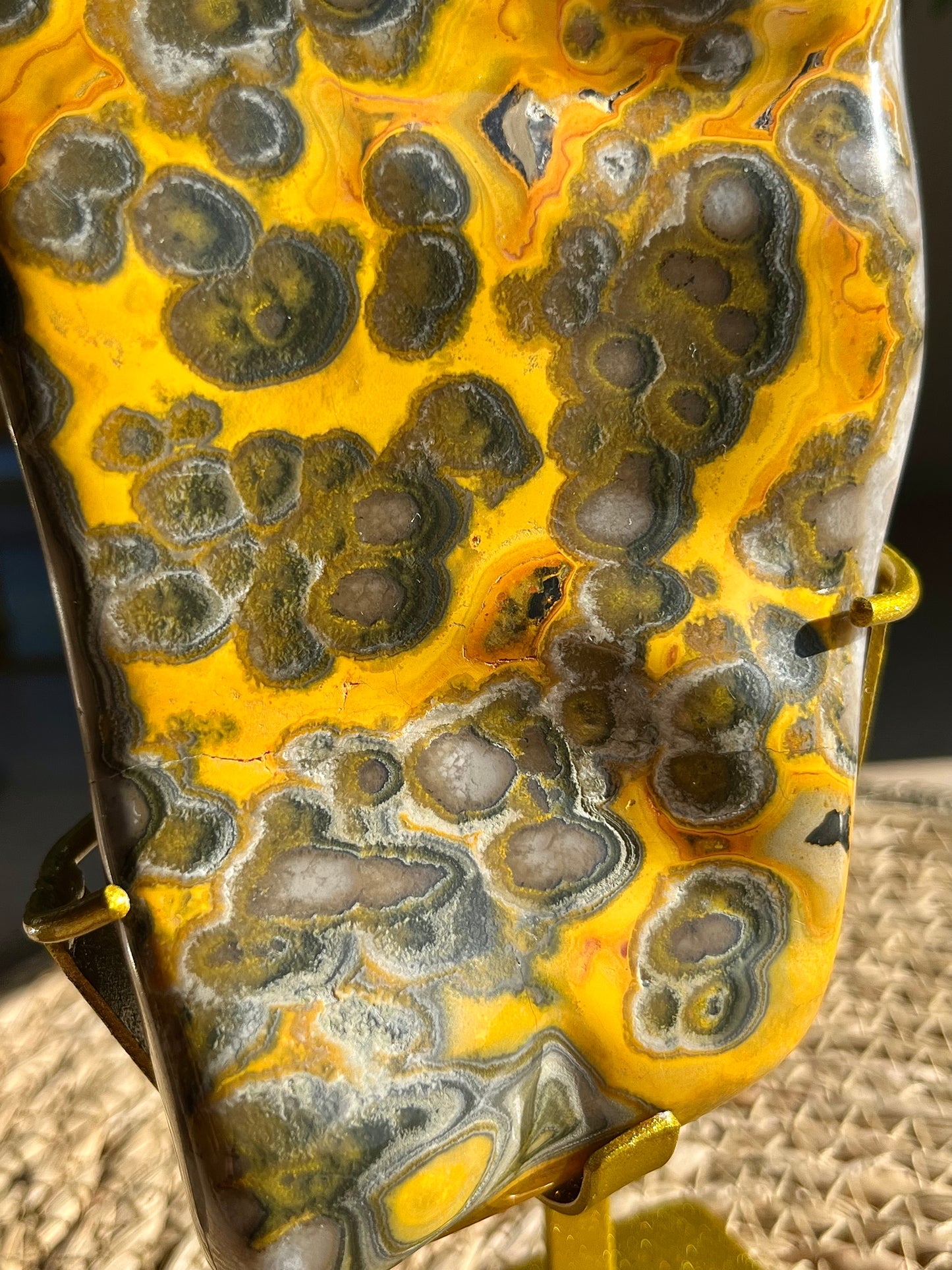 Rare Orbicular Bumblebee Jasper Polished Freeform on Stand #1