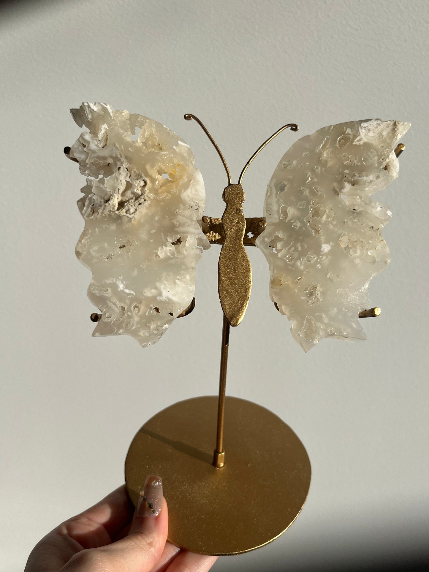Druzy Flower Agate Butterfly Wings on Gold Stand A