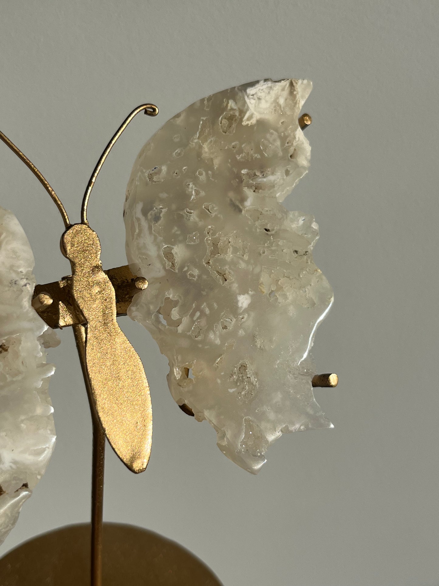 Druzy Flower Agate Butterfly Wings on Gold Stand A