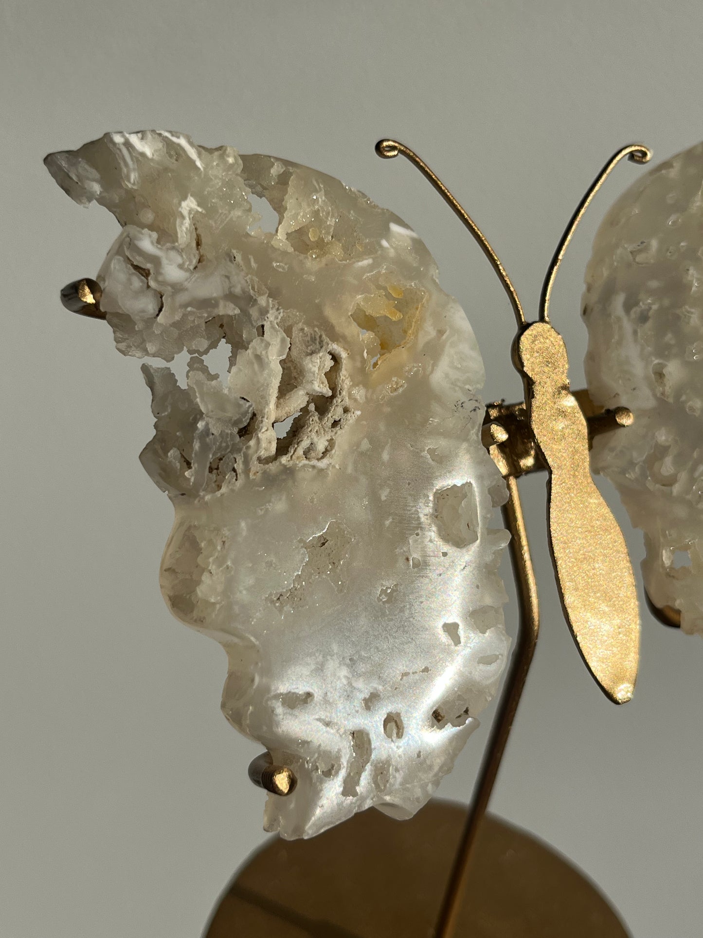 Druzy Flower Agate Butterfly Wings on Gold Stand A