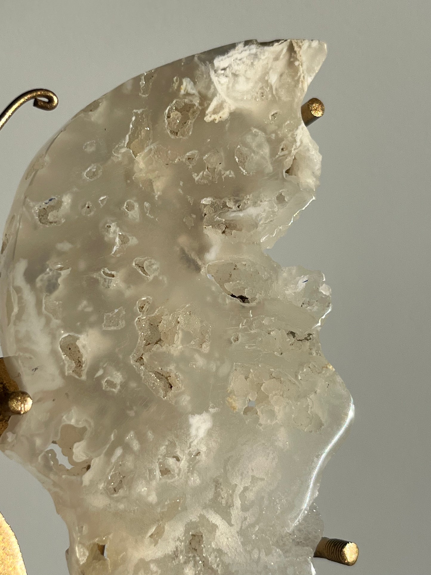 Druzy Flower Agate Butterfly Wings on Gold Stand A