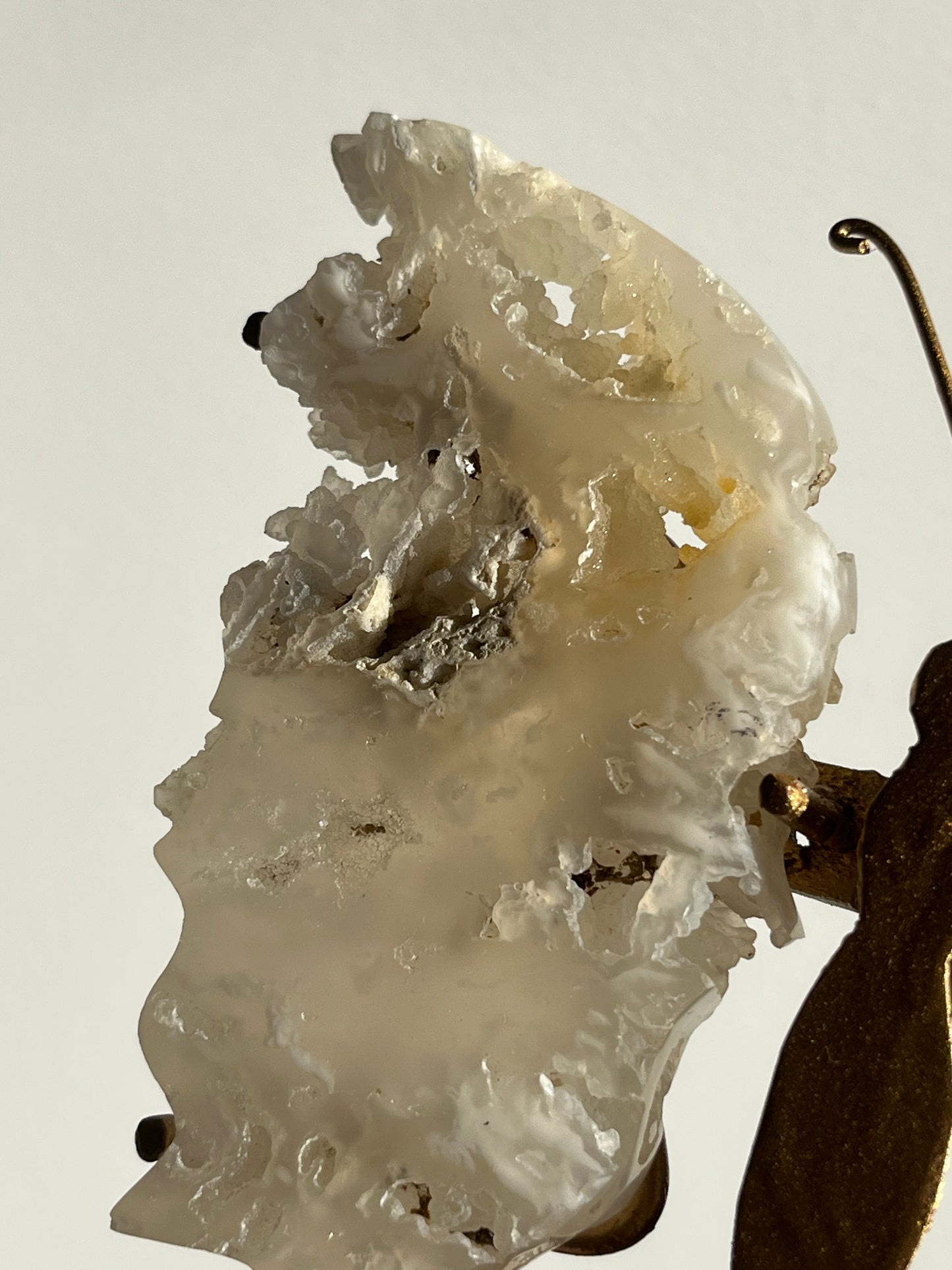 Druzy Flower Agate Butterfly Wings on Gold Stand A