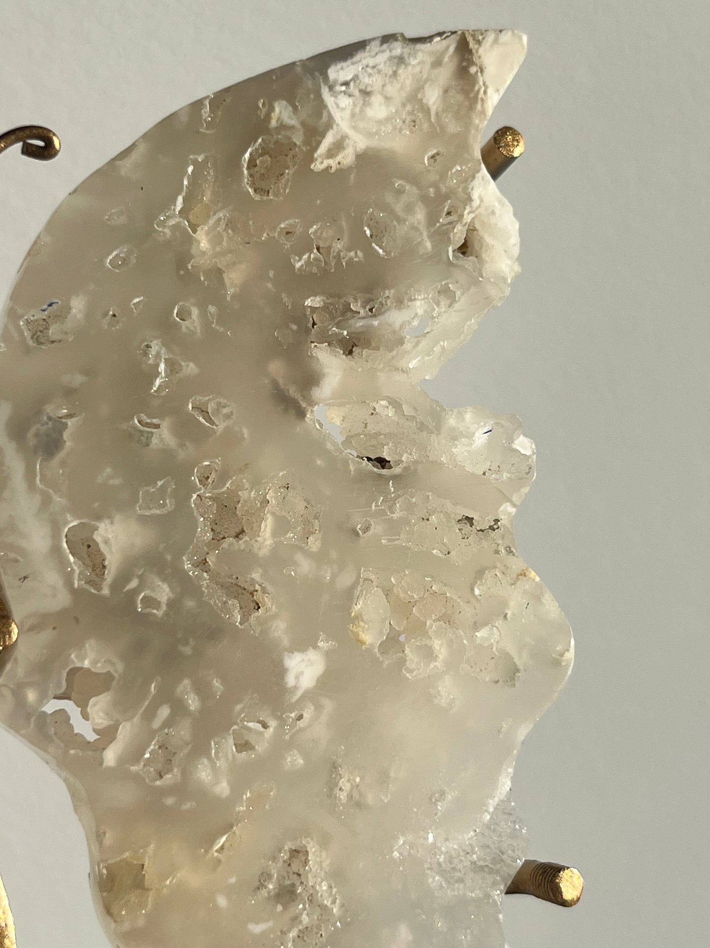 Druzy Flower Agate Butterfly Wings on Gold Stand A