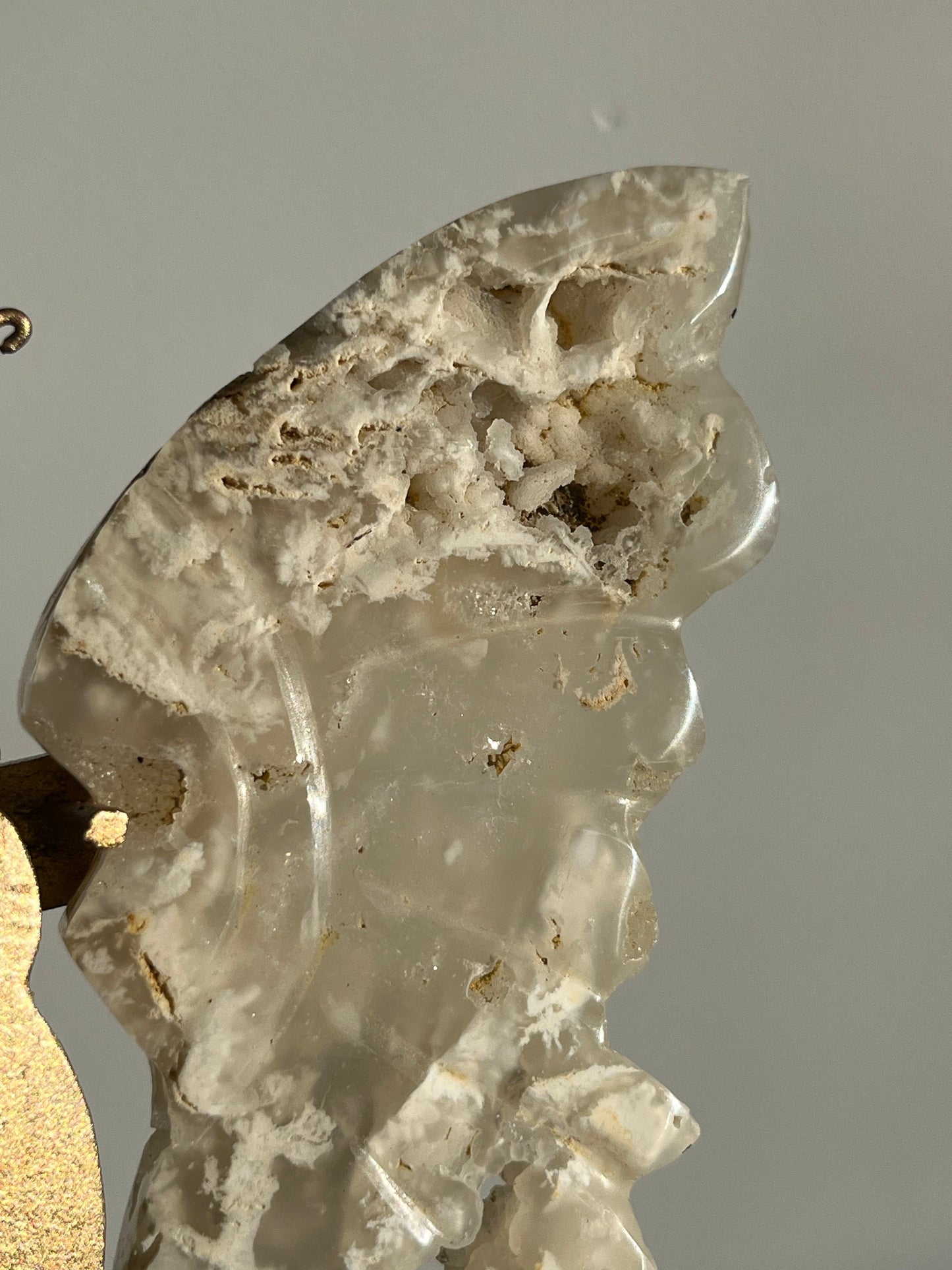 Druzy Flower Agate Butterfly Wings on Gold Stand B