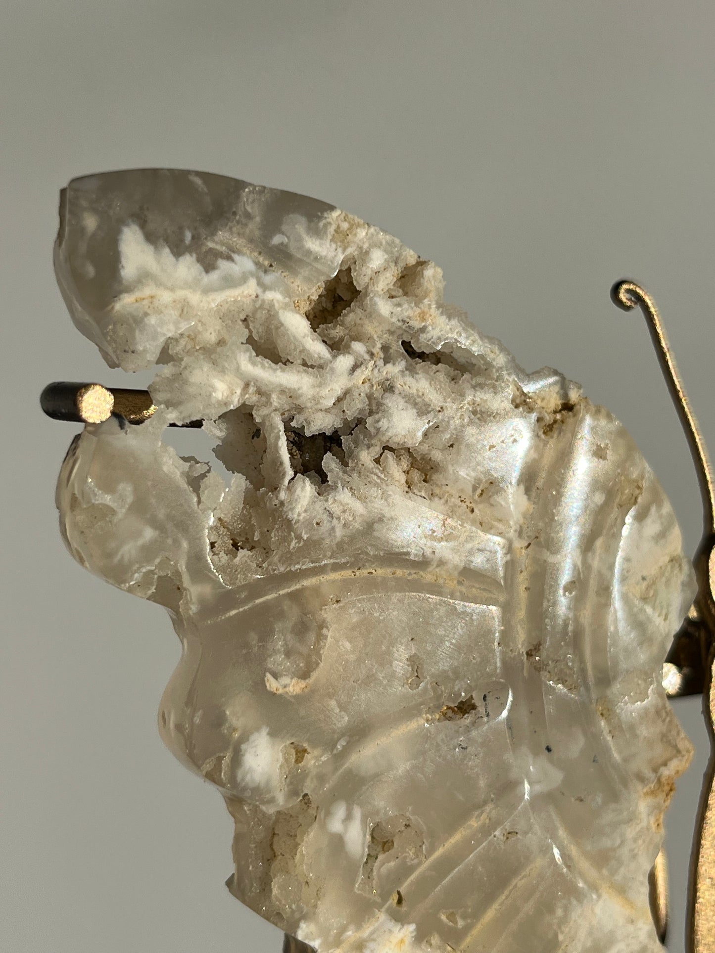 Druzy Flower Agate Butterfly Wings on Gold Stand B