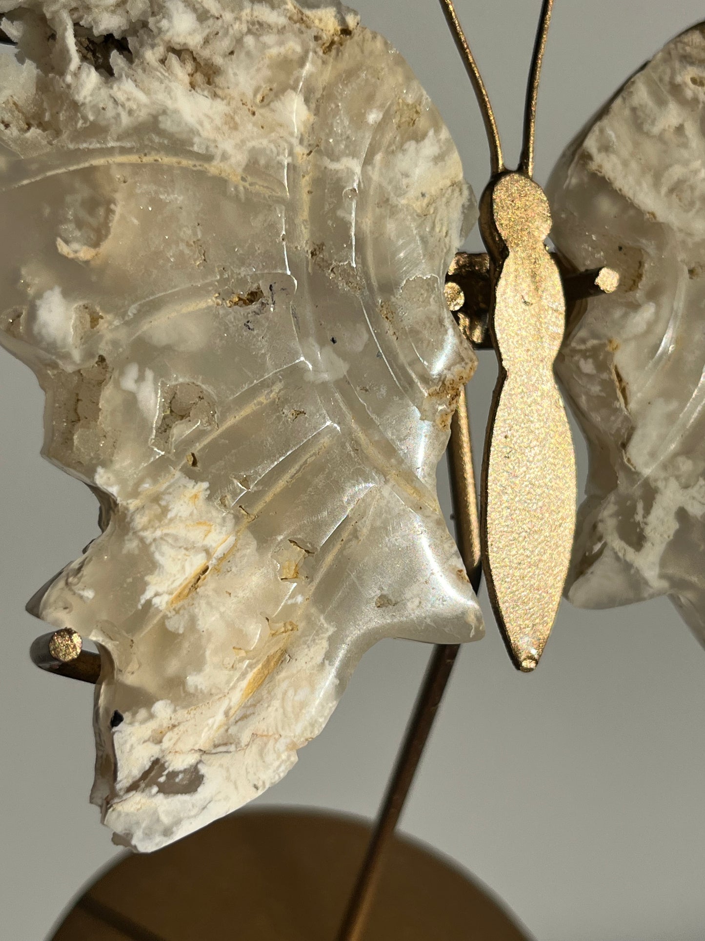 Druzy Flower Agate Butterfly Wings on Gold Stand B