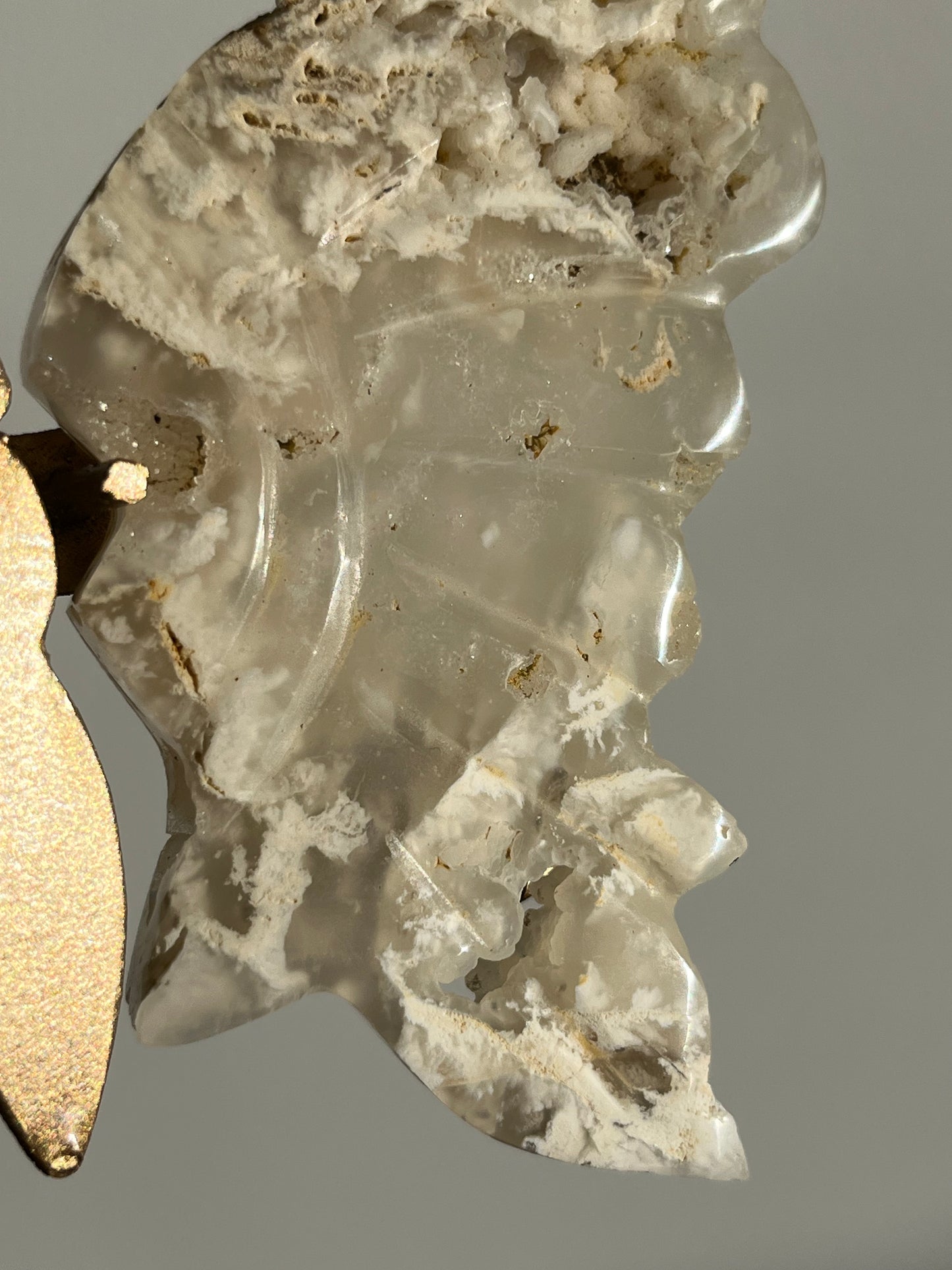 Druzy Flower Agate Butterfly Wings on Gold Stand B