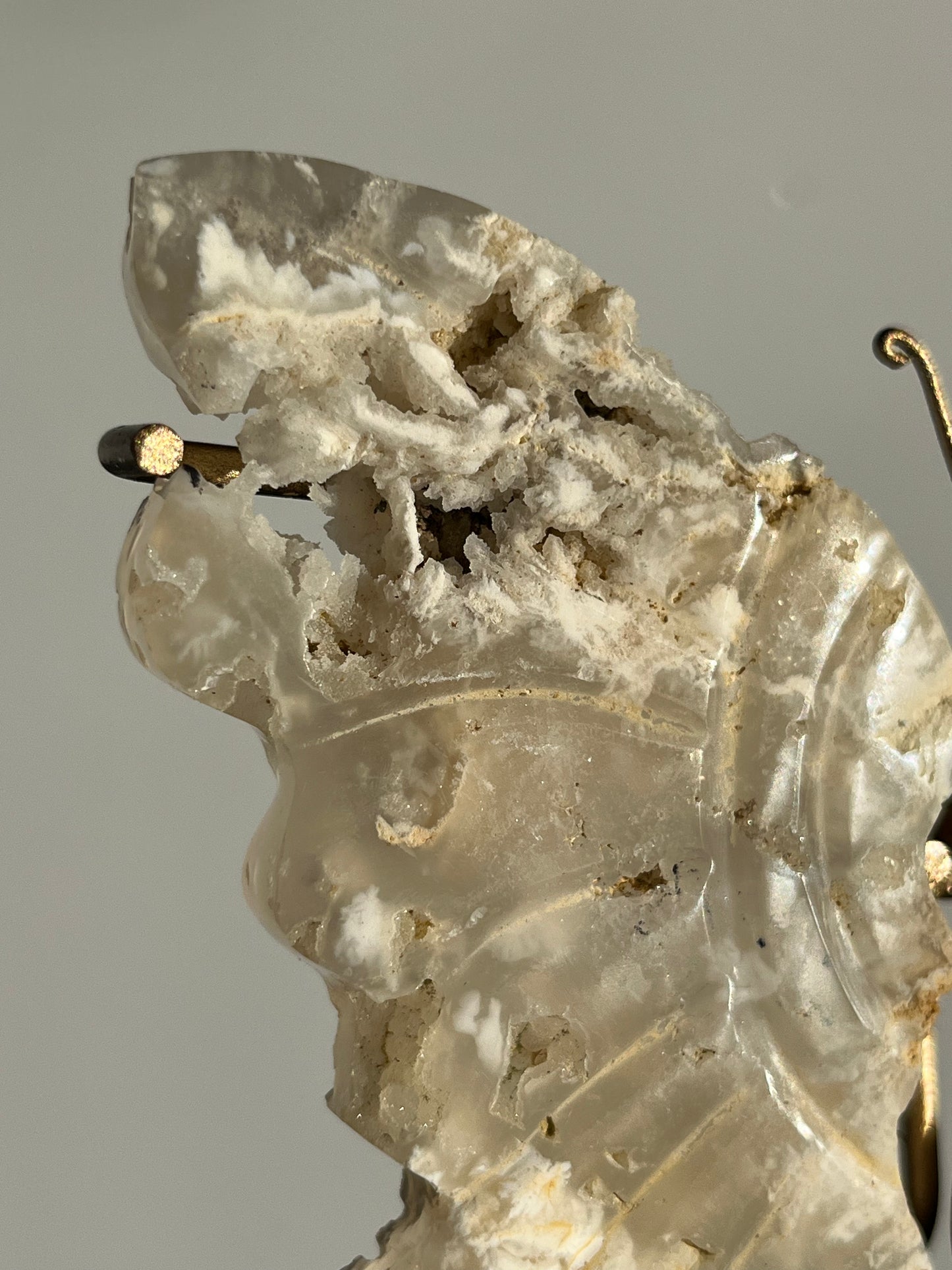 Druzy Flower Agate Butterfly Wings on Gold Stand B