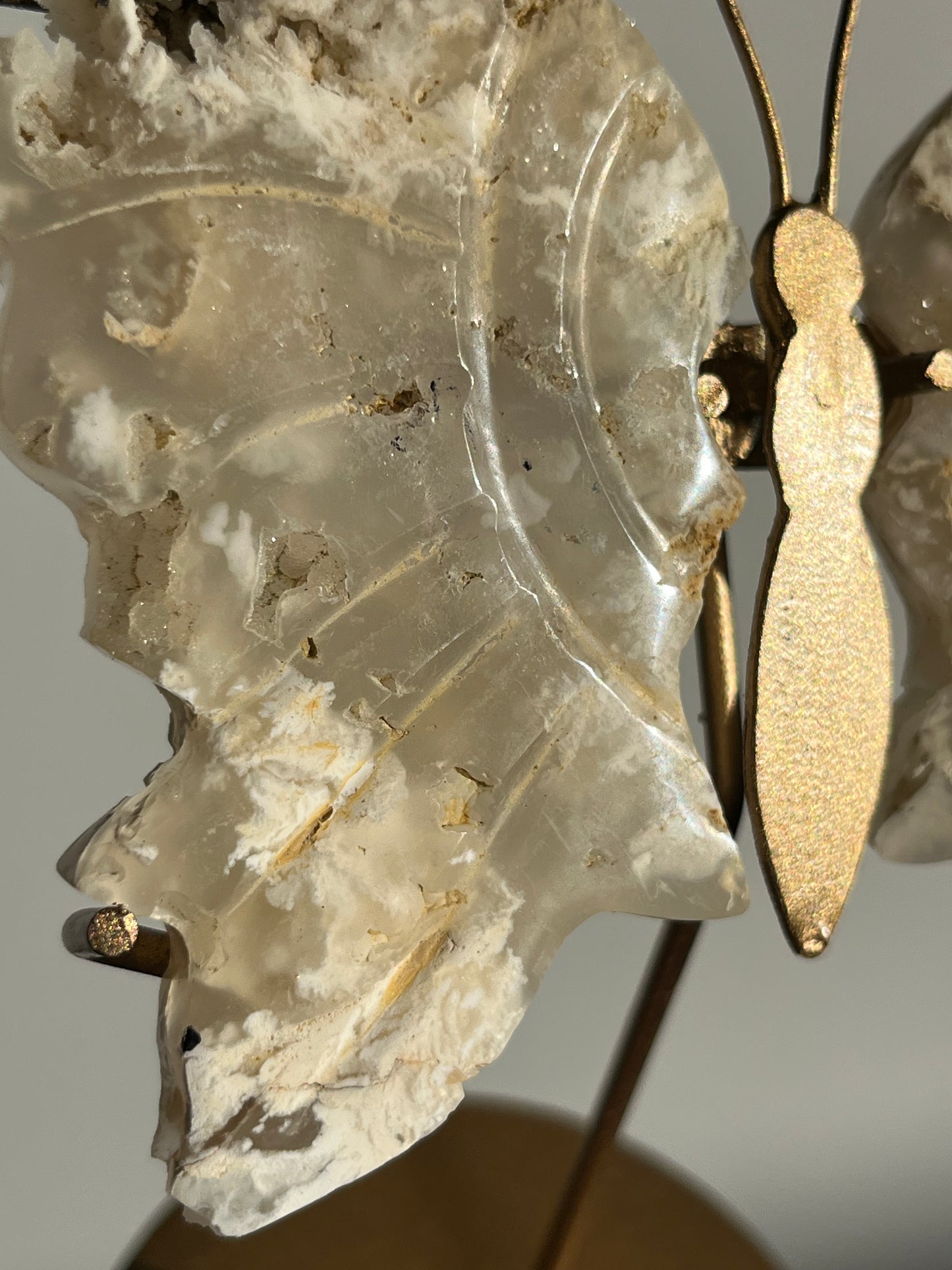 Druzy Flower Agate Butterfly Wings on Gold Stand B