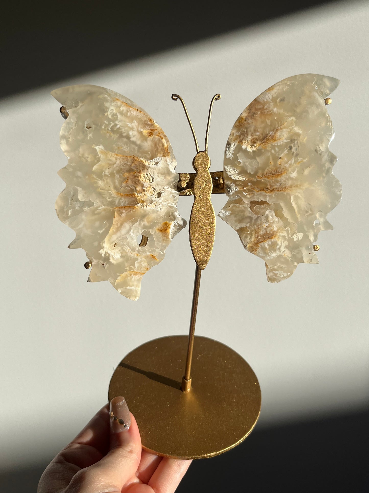 Druzy Flower Agate Butterfly Wings on Gold Stand C