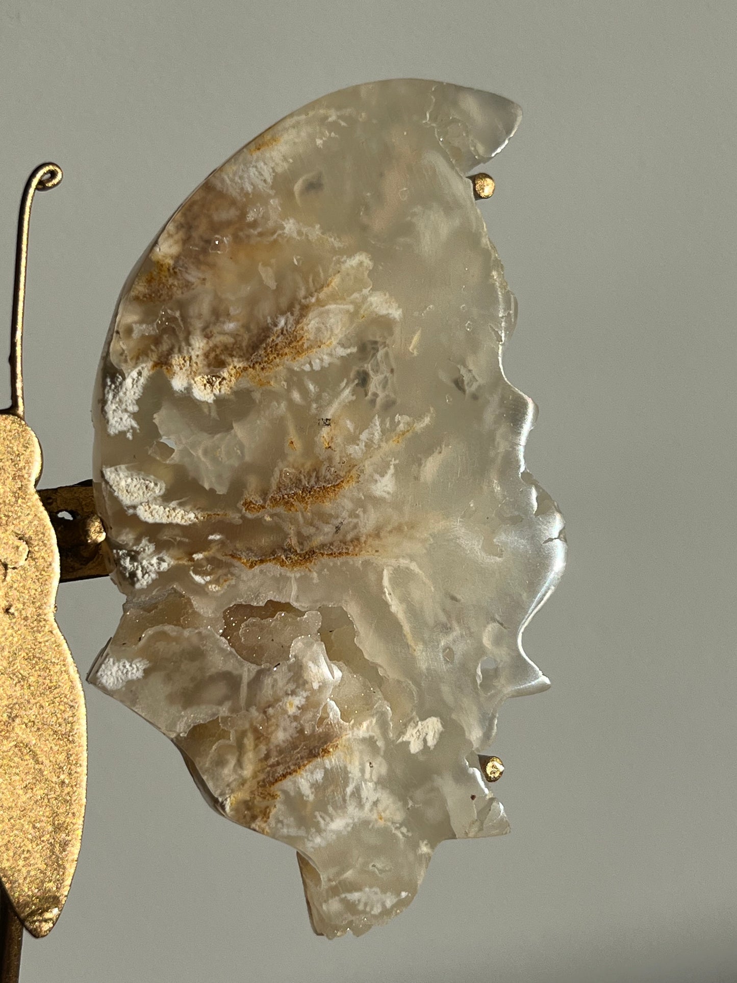 Druzy Flower Agate Butterfly Wings on Gold Stand C