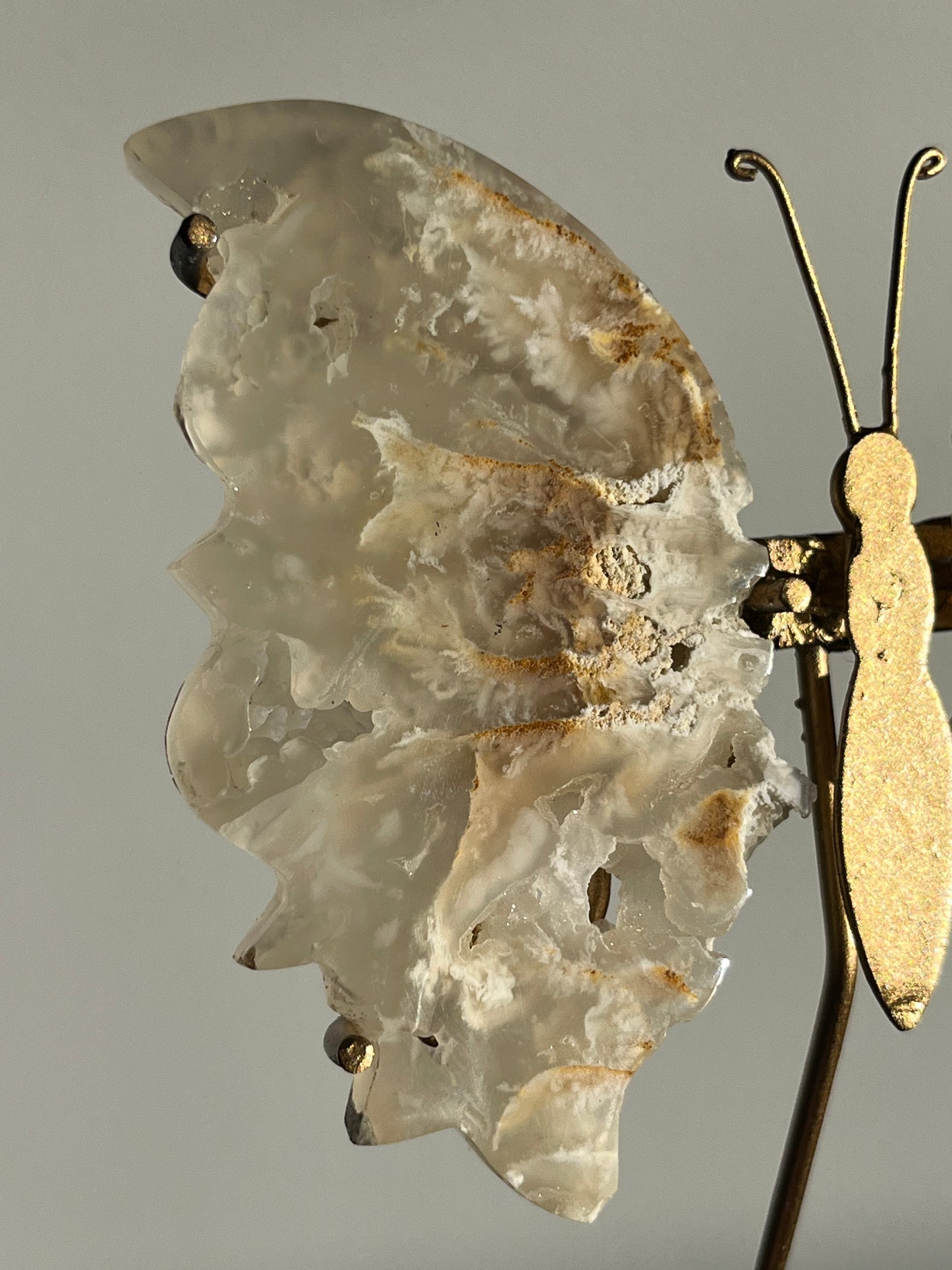 Druzy Flower Agate Butterfly Wings on Gold Stand C