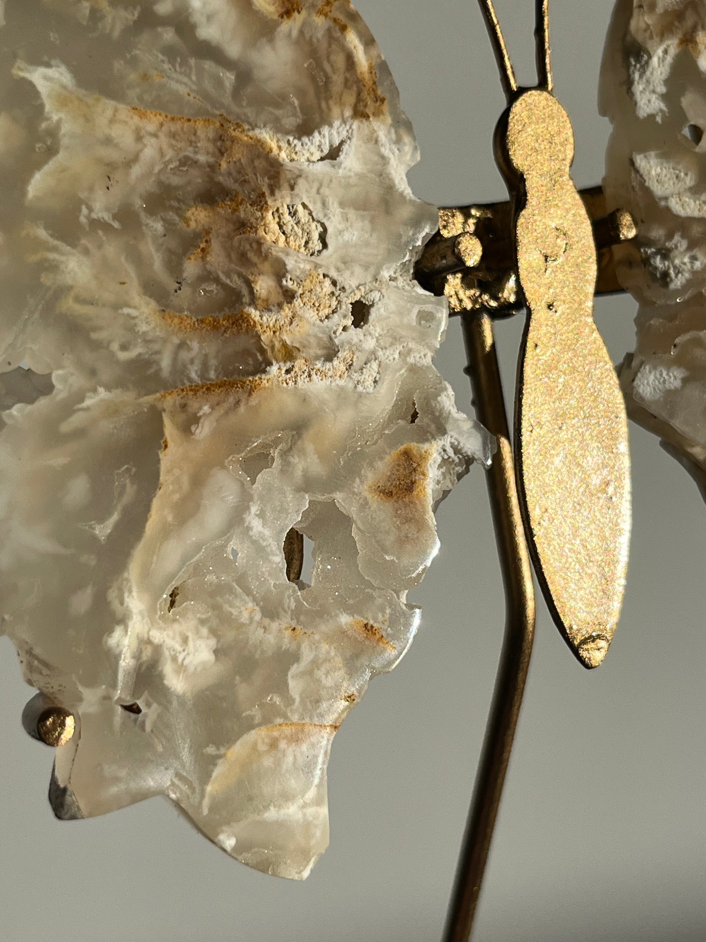 Druzy Flower Agate Butterfly Wings on Gold Stand C