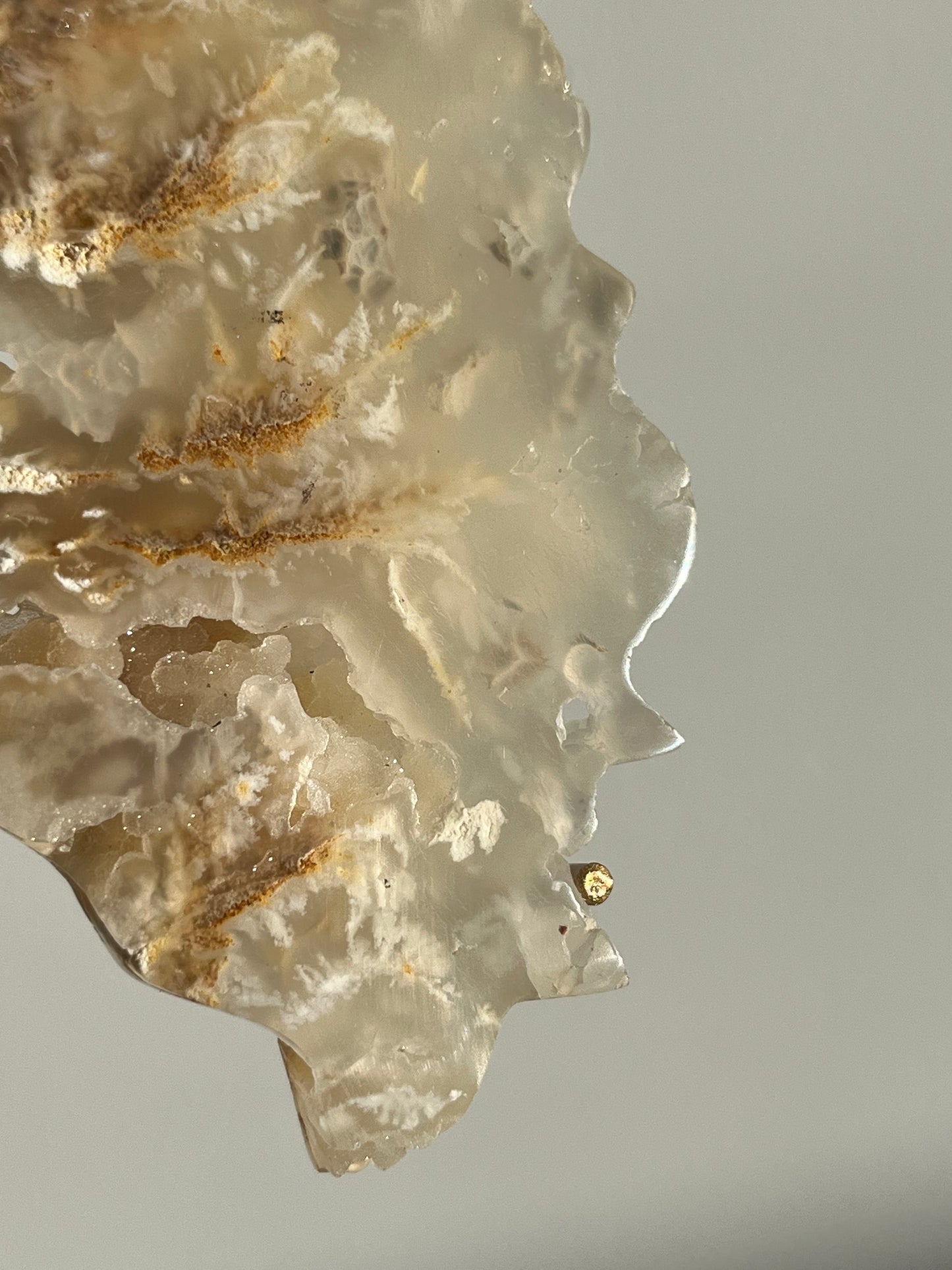 Druzy Flower Agate Butterfly Wings on Gold Stand C