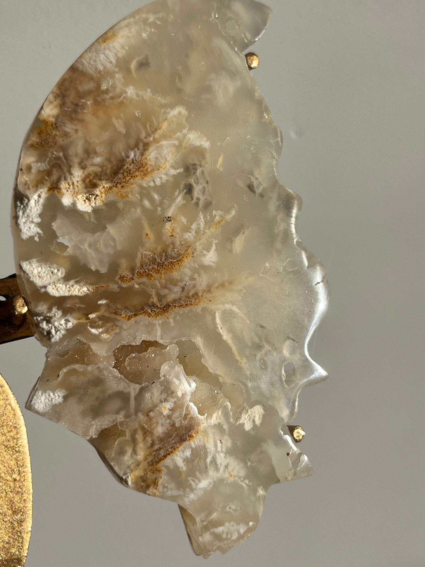 Druzy Flower Agate Butterfly Wings on Gold Stand C