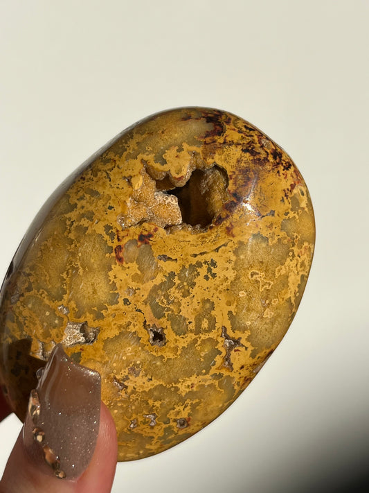 Golden Lace Agate Oval Palmstone C