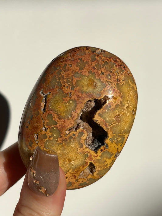 Golden Lace Agate Oval Palmstone D