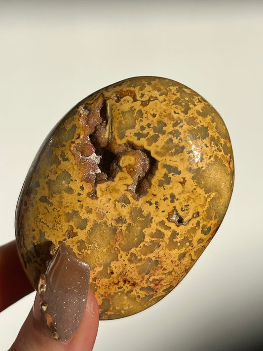 Golden Lace Agate Oval Palmstone F