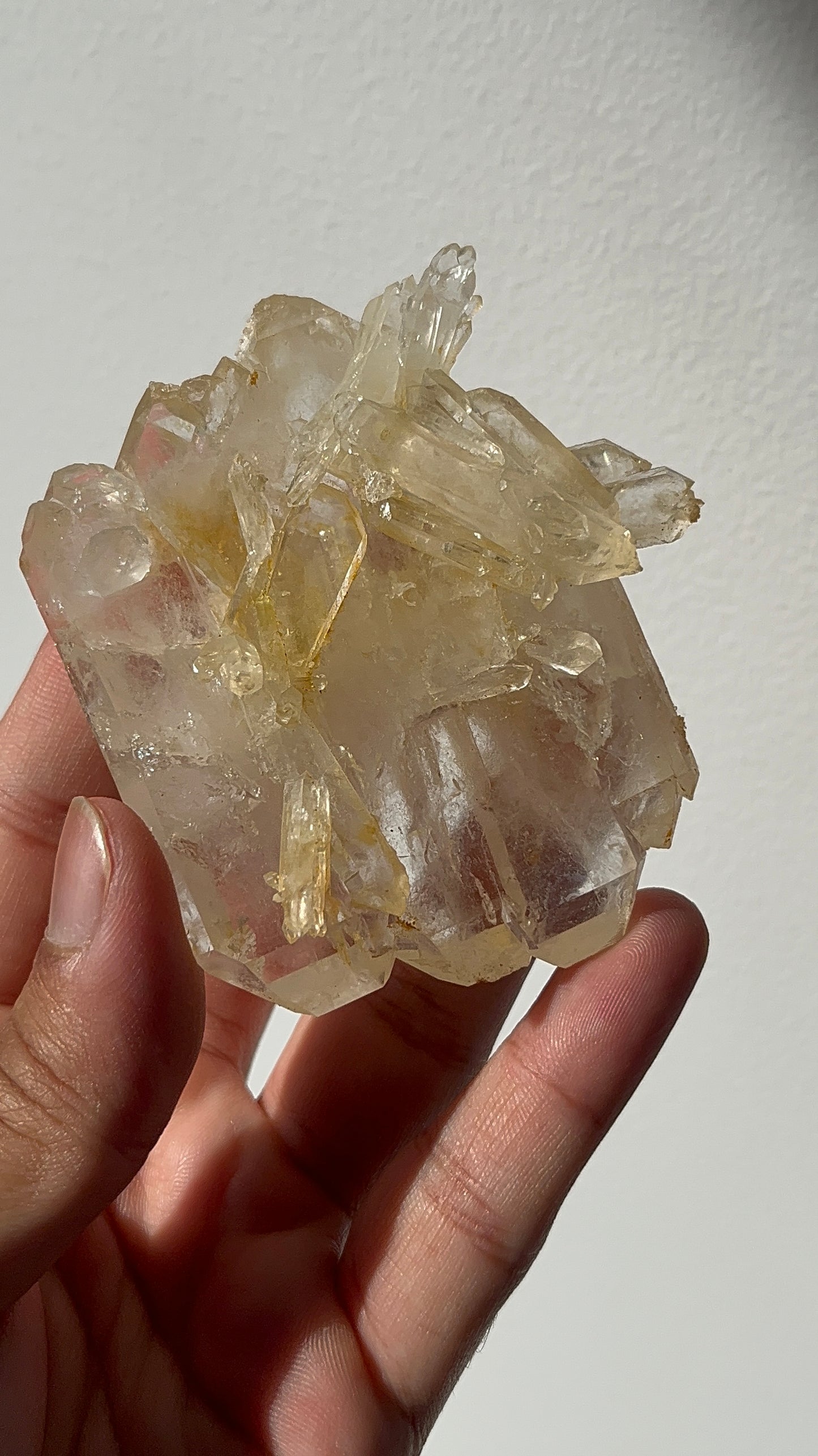 “Aureus Raft” Golden Healer Faden Quartz Specimen F