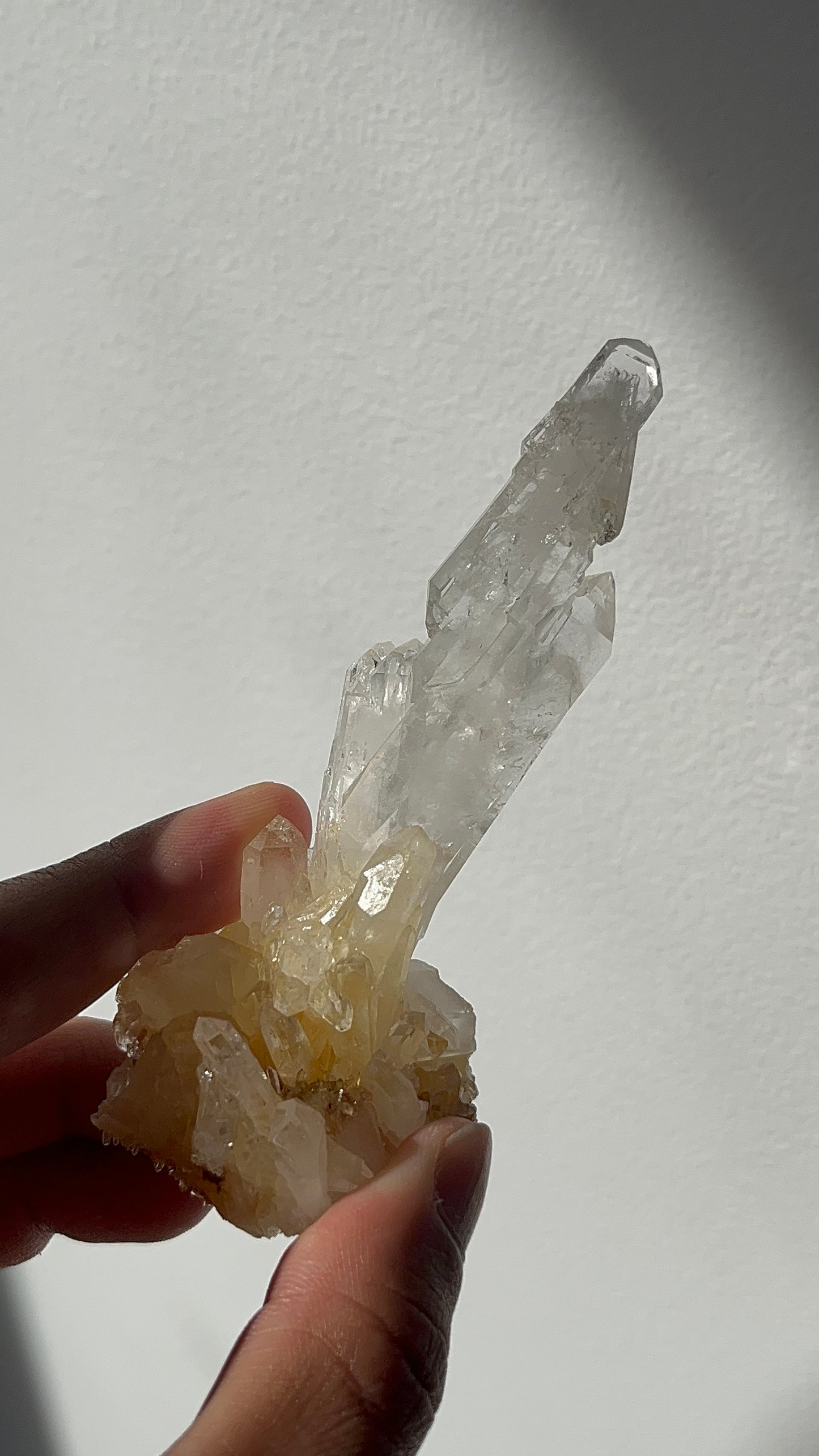 “The Ascending Spire” Golden Healer Faden Quartz Specimen N
