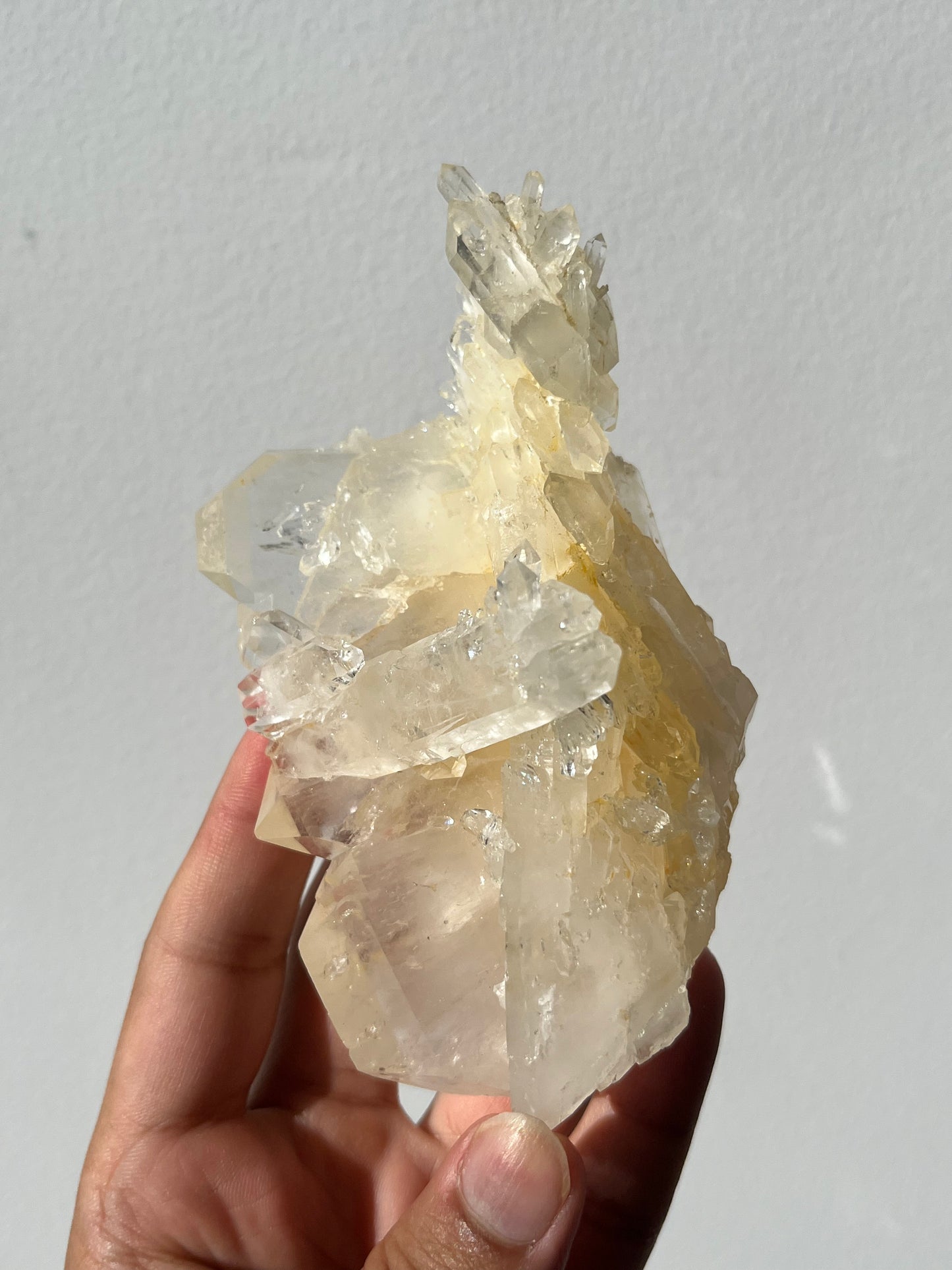 “The Archer of Light” Golden Healer Faden Quartz Specimen E