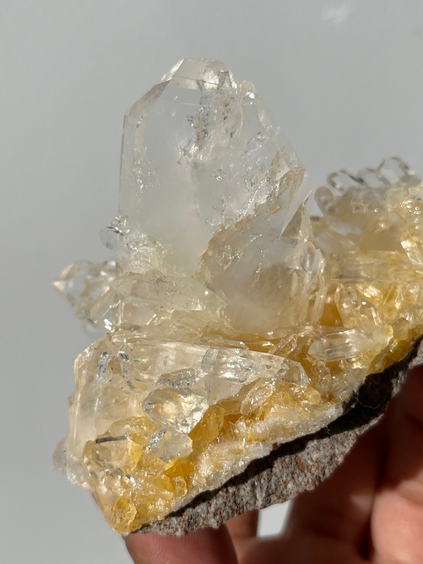 “Genesis Anchor” Golden Healer Faden Quartz Specimen G