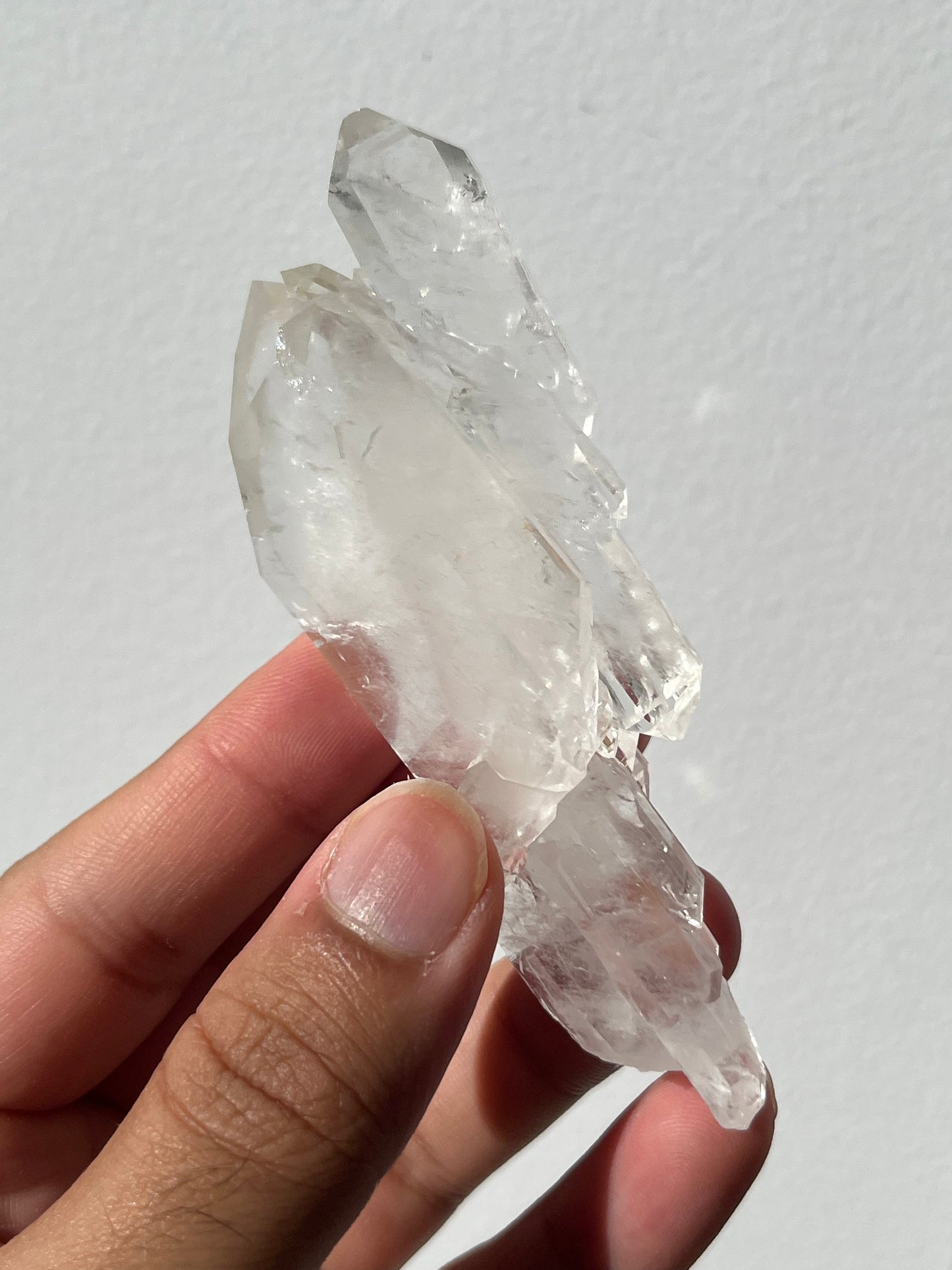 “Convergence of Light” Golden Healer Faden Quartz Specimen M