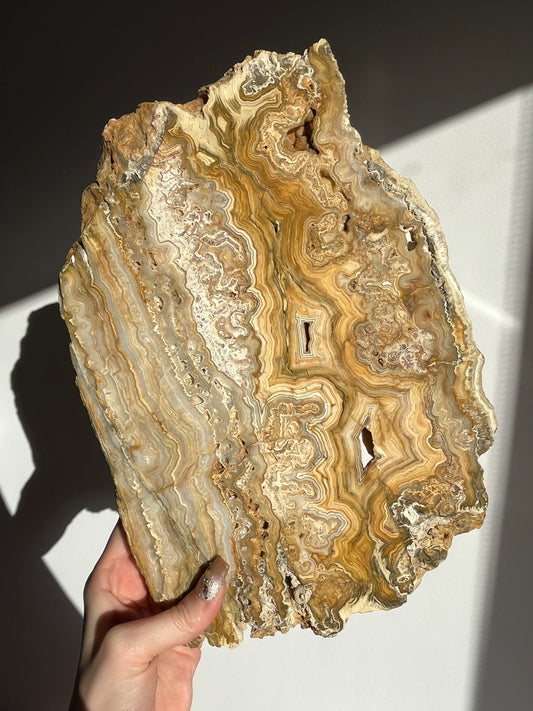 Golden Lace Agate Slab