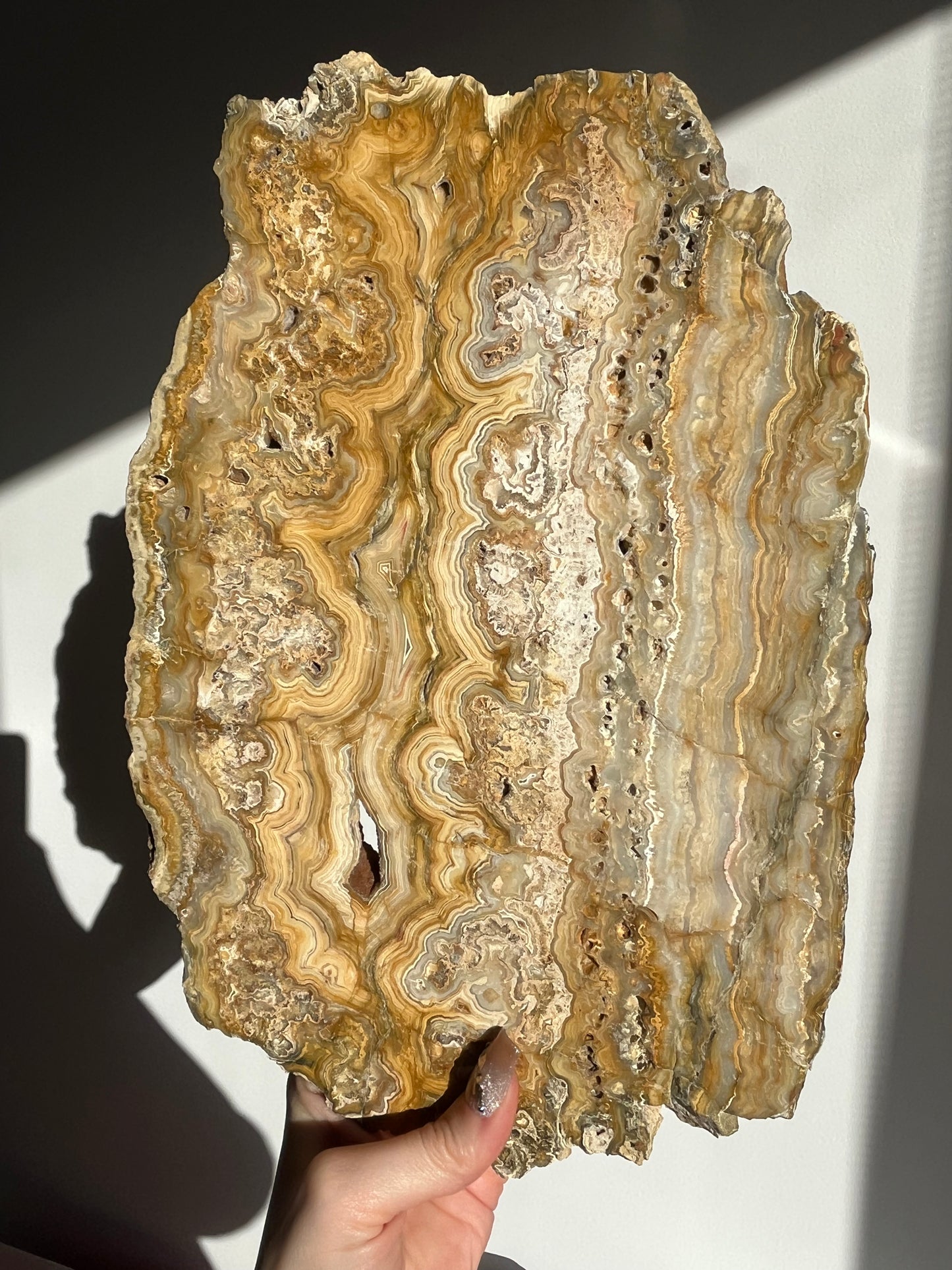 Golden Lace Agate Slab