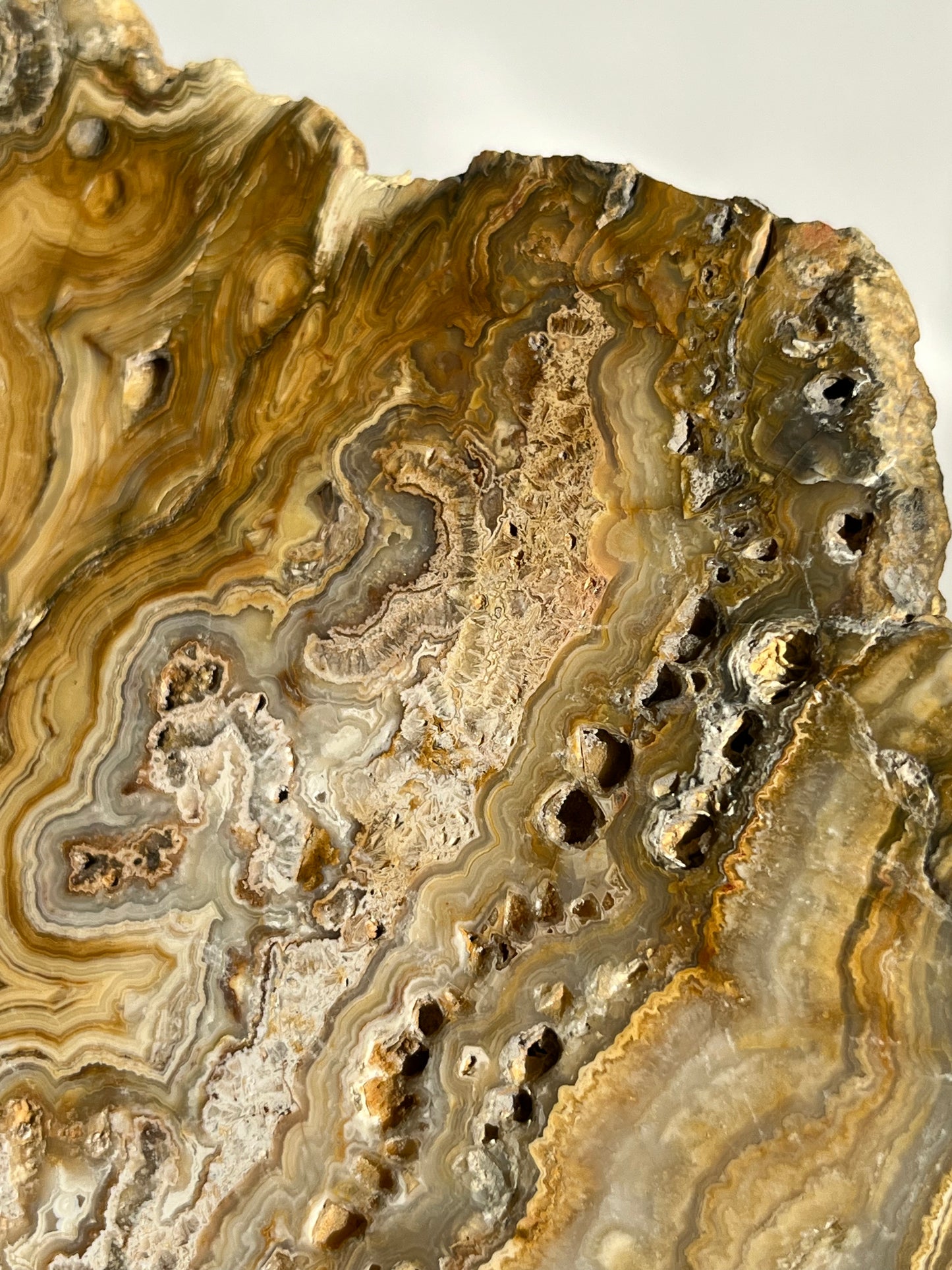 Golden Lace Agate Slab