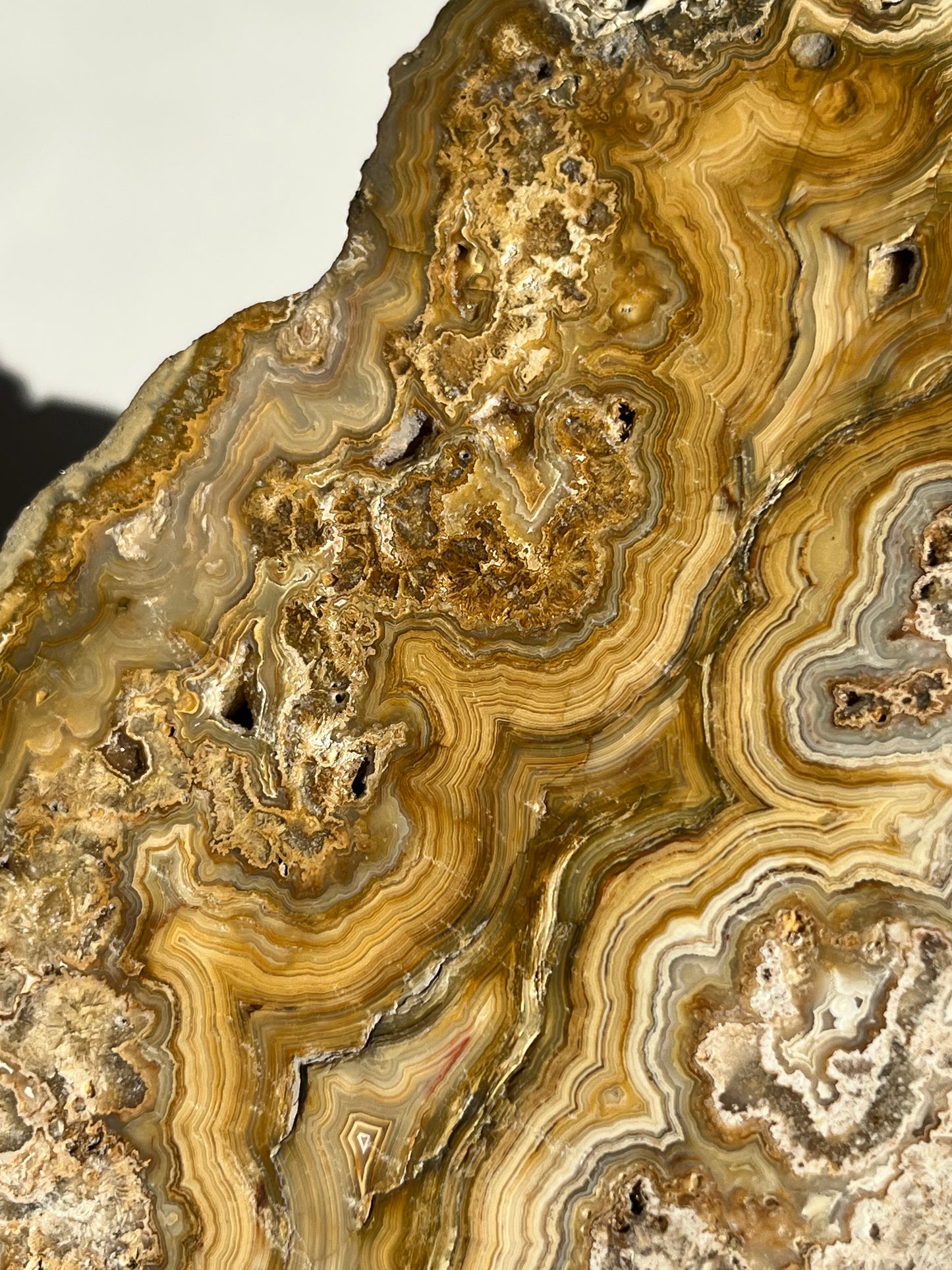 Golden Lace Agate Slab