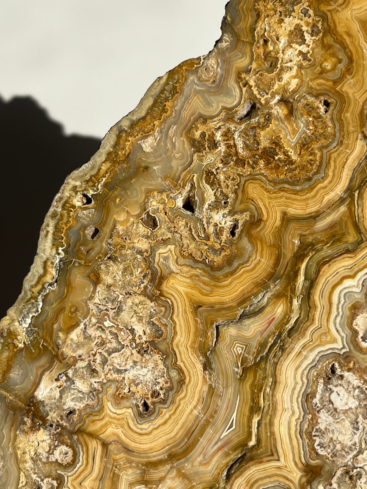 Golden Lace Agate Slab
