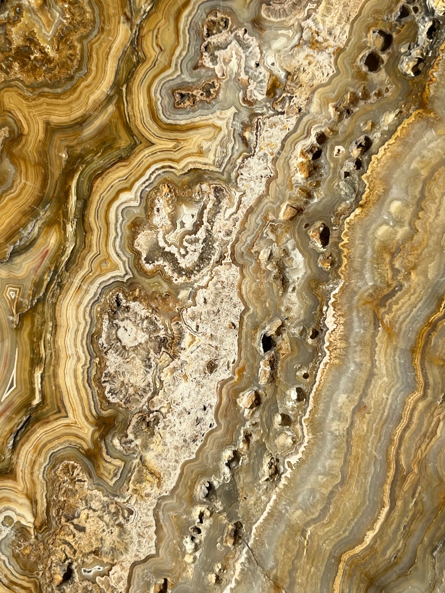 Golden Lace Agate Slab