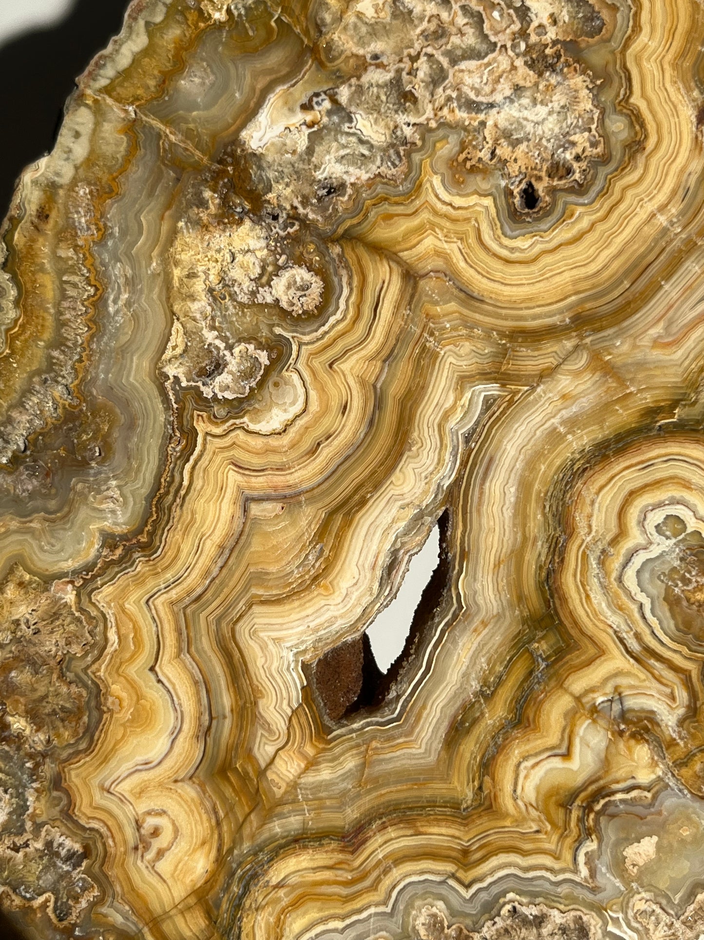 Golden Lace Agate Slab