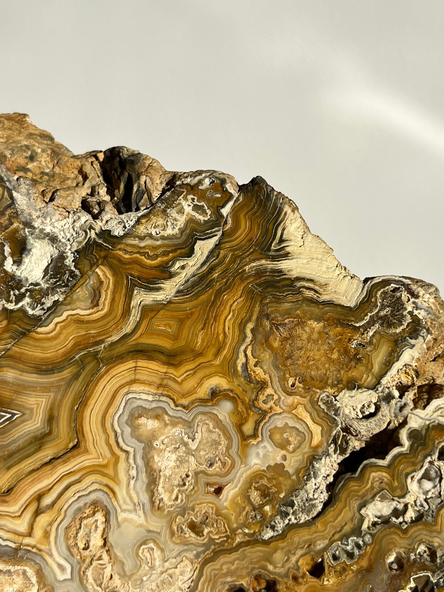 Golden Lace Agate Slab