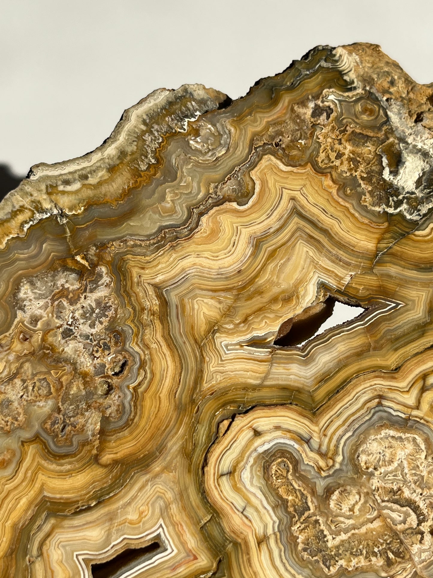 Golden Lace Agate Slab